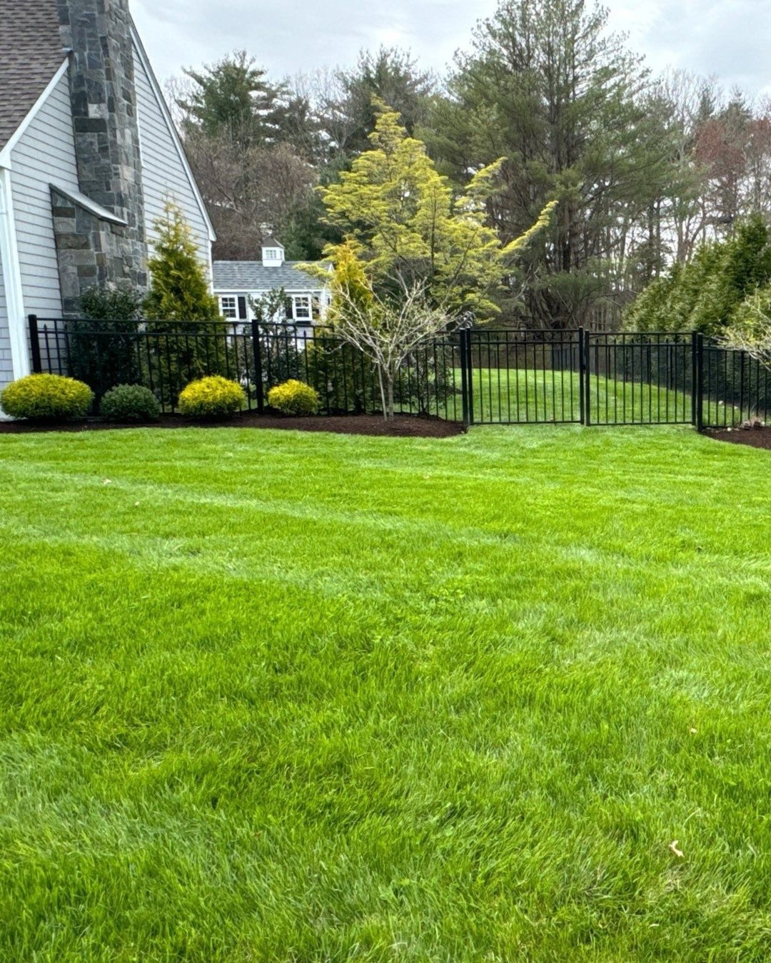 A lush, healthy lawn doesn't happen by chance. 🌿It's the result of the right nutrients, delivered at the right time.

Our expert fertilization services are designed to strengthen your lawn in every season&mdash;supporting deeper roots, richer color,