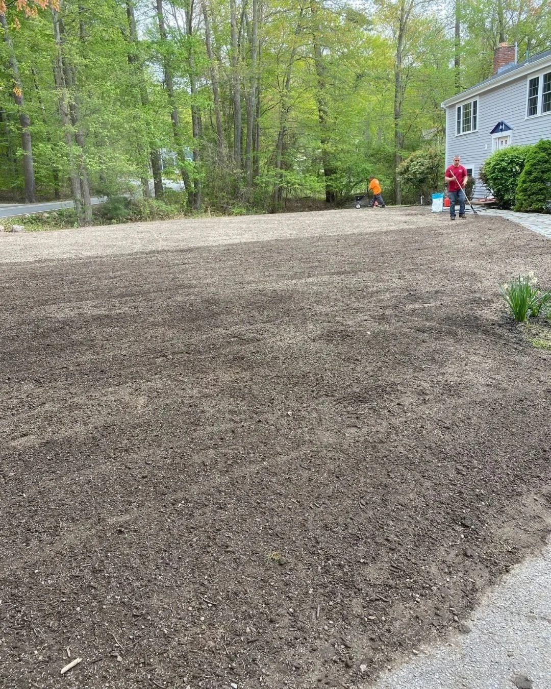A great lawn starts long before the grass grows.

Proper site preparation is the foundation for healthy, lasting results. From removing existing turf to grading, conditioning the soil, and ensuring proper drainage, every step plays a critical role in