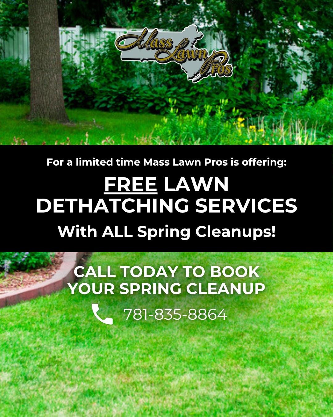 For a limited time, get FREE dethatching when you book a spring cleanup. We'll clear out built-up debris, open up your lawn, and set it up for stronger, healthier growth all season long.

This is the difference between a lawn that survives spring and
