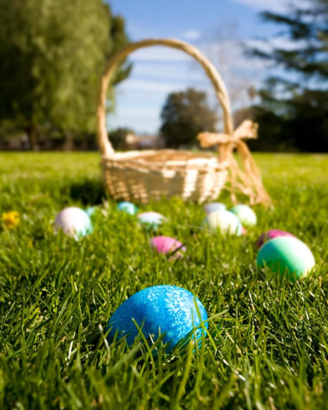 Happy Easter from all of us at Mass Lawn Pros 🌷

Wishing you a day filled with family, sunshine, and maybe even a perfectly green lawn.

Spring is officially here &mdash; and we're ready to help your yard look its best all season long.

#HappyEaster