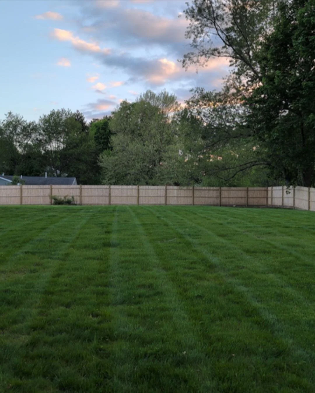 This is the result.

Full. Even. Healthy. Deep green with clean stripes.

Now swipe to see where it started.

A patchy, thinning lawn doesn't mean starting over with your yard. It means starting with the right plan. Proper prep. Quality seed or sod. 