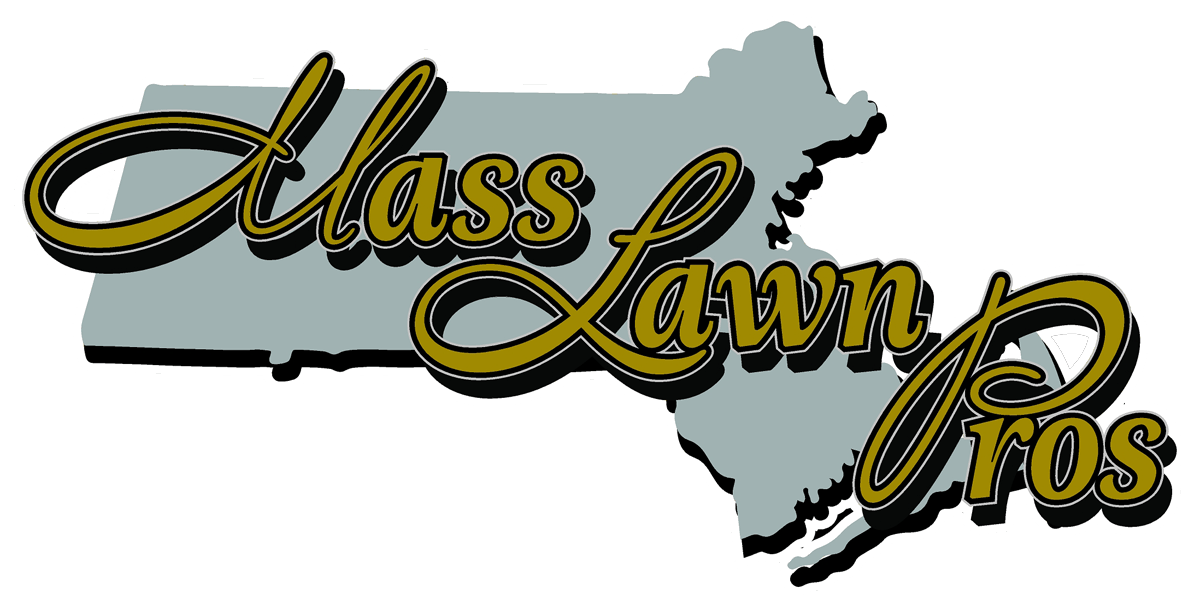 Graphic of the state of New York with the words 'Class Lawn Pros' in stylized text overlaid.