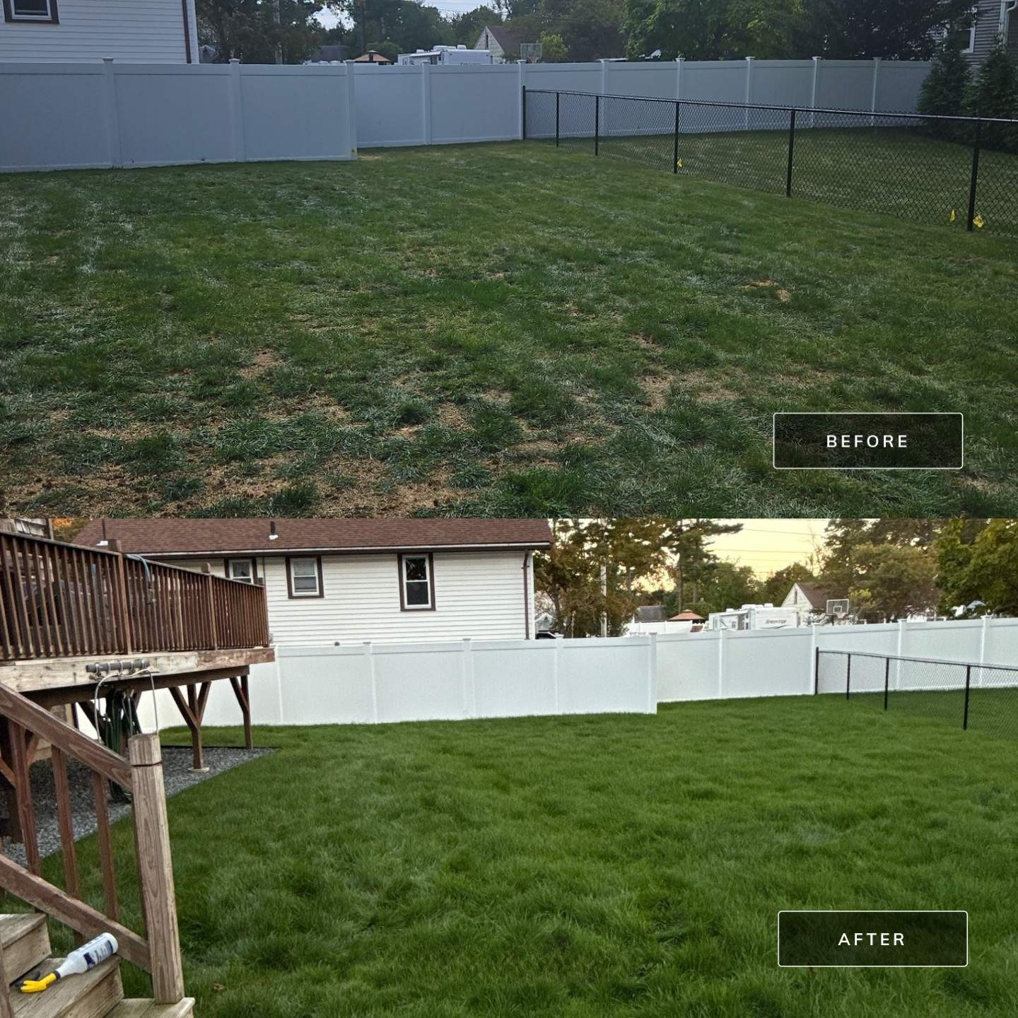 Comparison of backyard before and after lawn renovation: top shows patchy, uneven grass with dirt patches, bottom shows lush, evenly grown green grass with a clear fence and a house in the background.