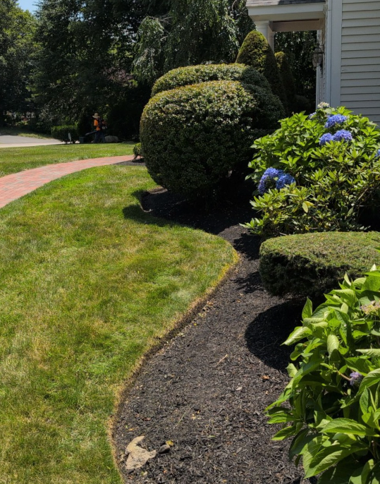 A well-maintained garden with trimmed bushes and a flower bed alongside a house, with a brick pathway in the background.