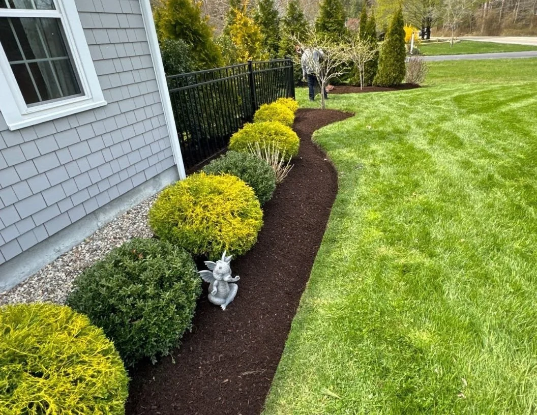 Front yard garden with yellow and green bushes, fresh mulch, a decorative rabbit statue, and a person working near a tree.