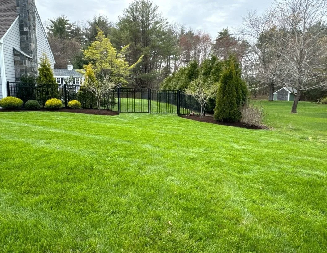 Want a Better Lawn Next Spring? Start This August