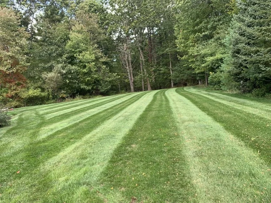 A well-manicured lawn with alternating light and dark green stripes, bordered by trees and shrubs.