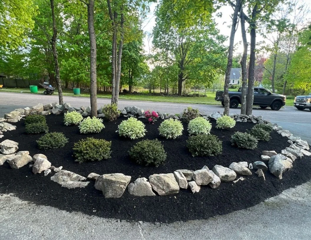 Landscaped flower bed with a border of large rocks, filled with small bushes and flowering plants, surrounded by a paved area and trees, with cars on a street in the background.