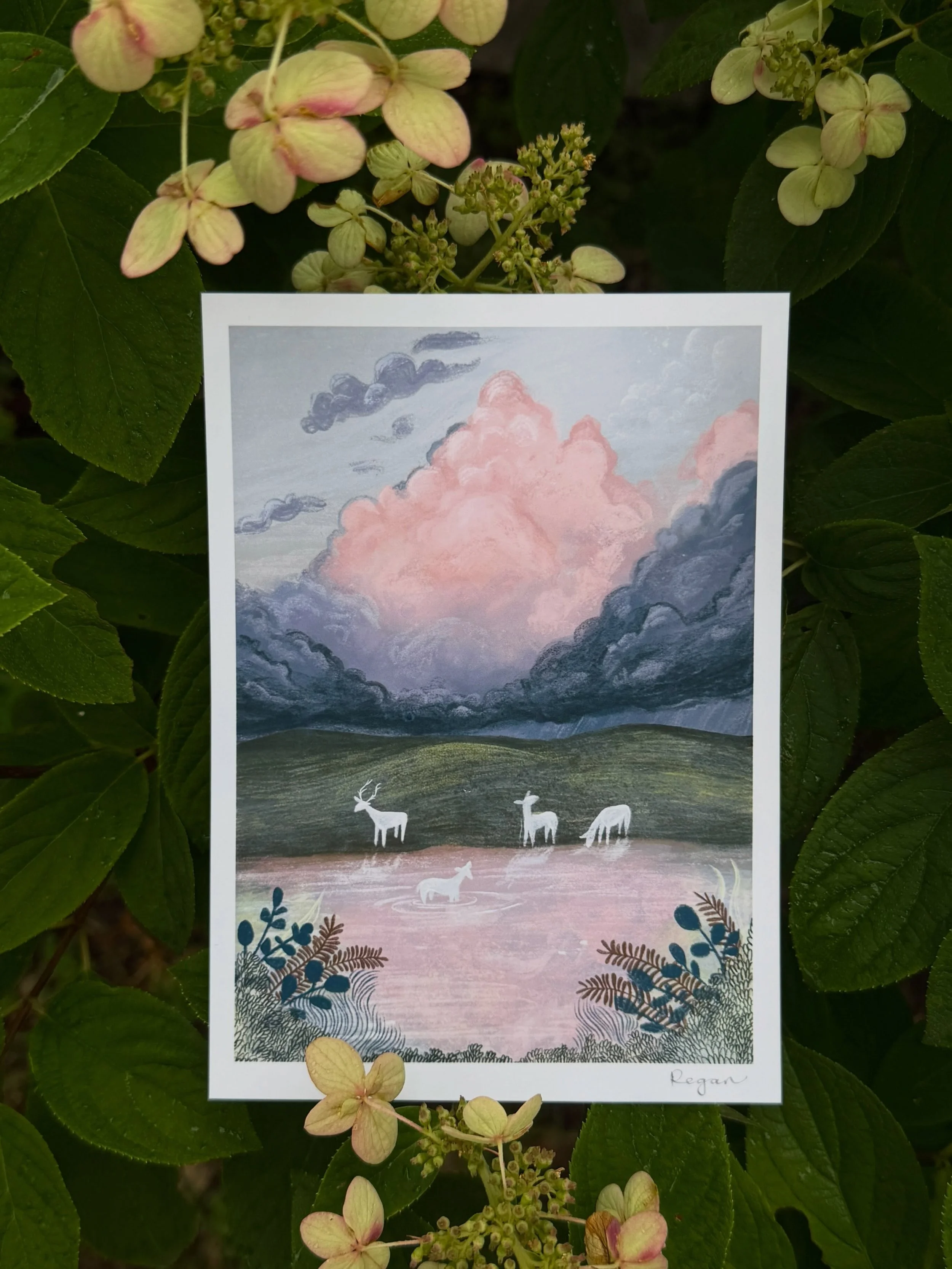 August Snail mail 🧡🐌
What joy my little mail club has brought to me this summer! 

August&rsquo;s illustration &ldquo;Rain at Lake Wonder&rdquo; (and small illustrated story &ldquo;Good Morning August&rdquo;) speaks to finding contentment in and br