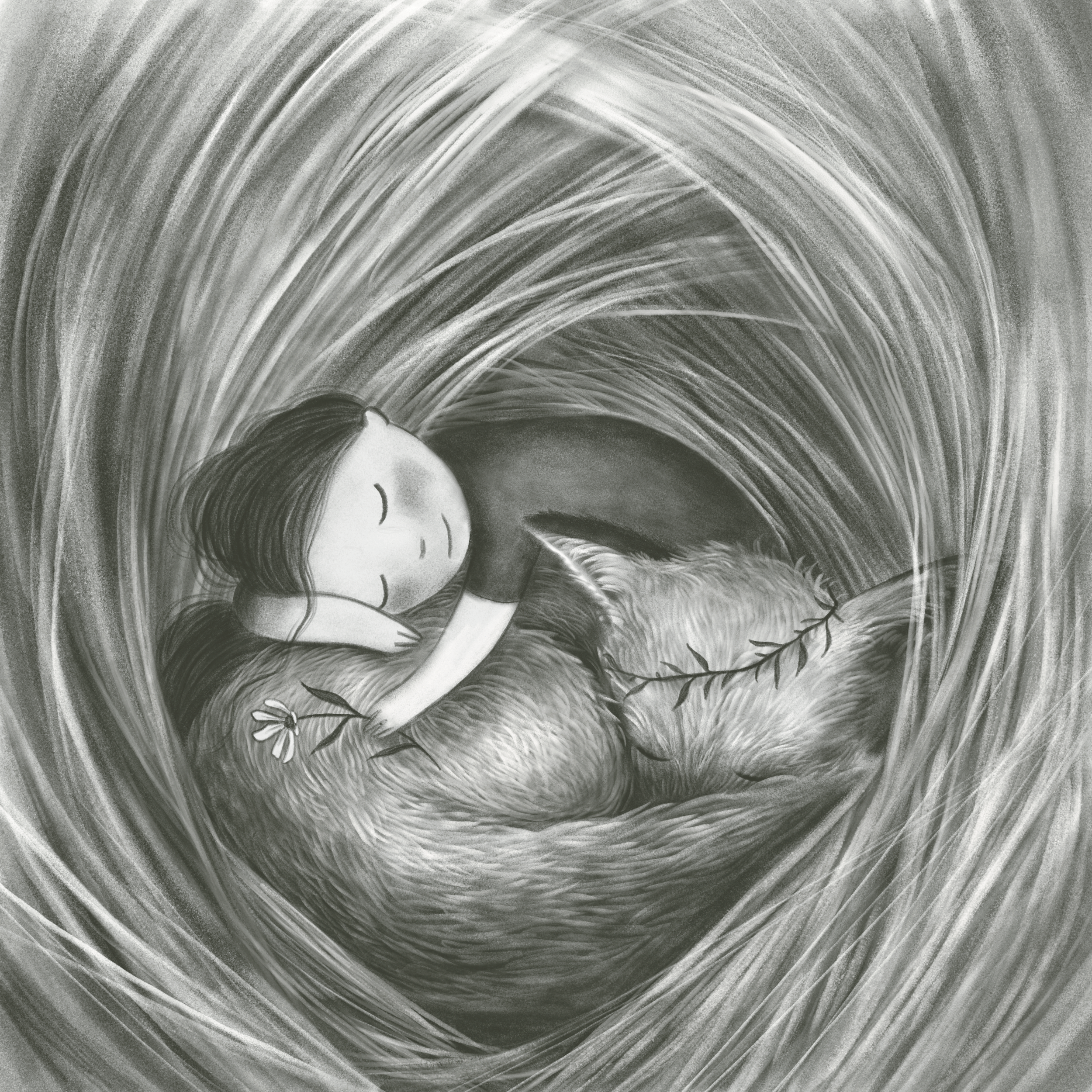 Summer Nap - Procreate 2026