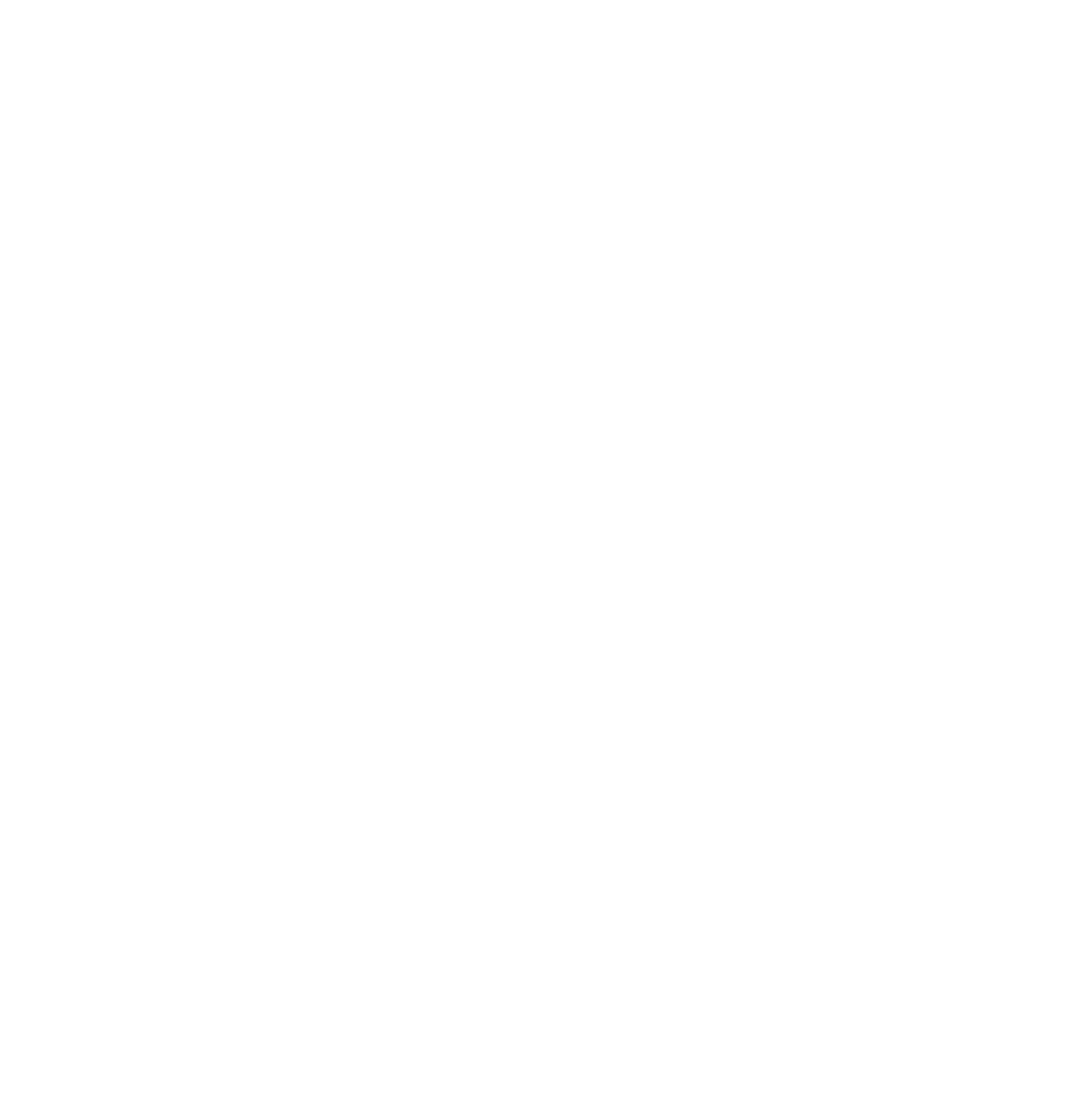 AAIFF Winner.png