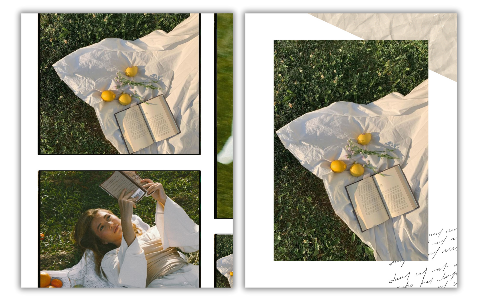Arrangement of lemons, an open book, and flowers on a white cloth, with a woman reading a book outdoors on grass.