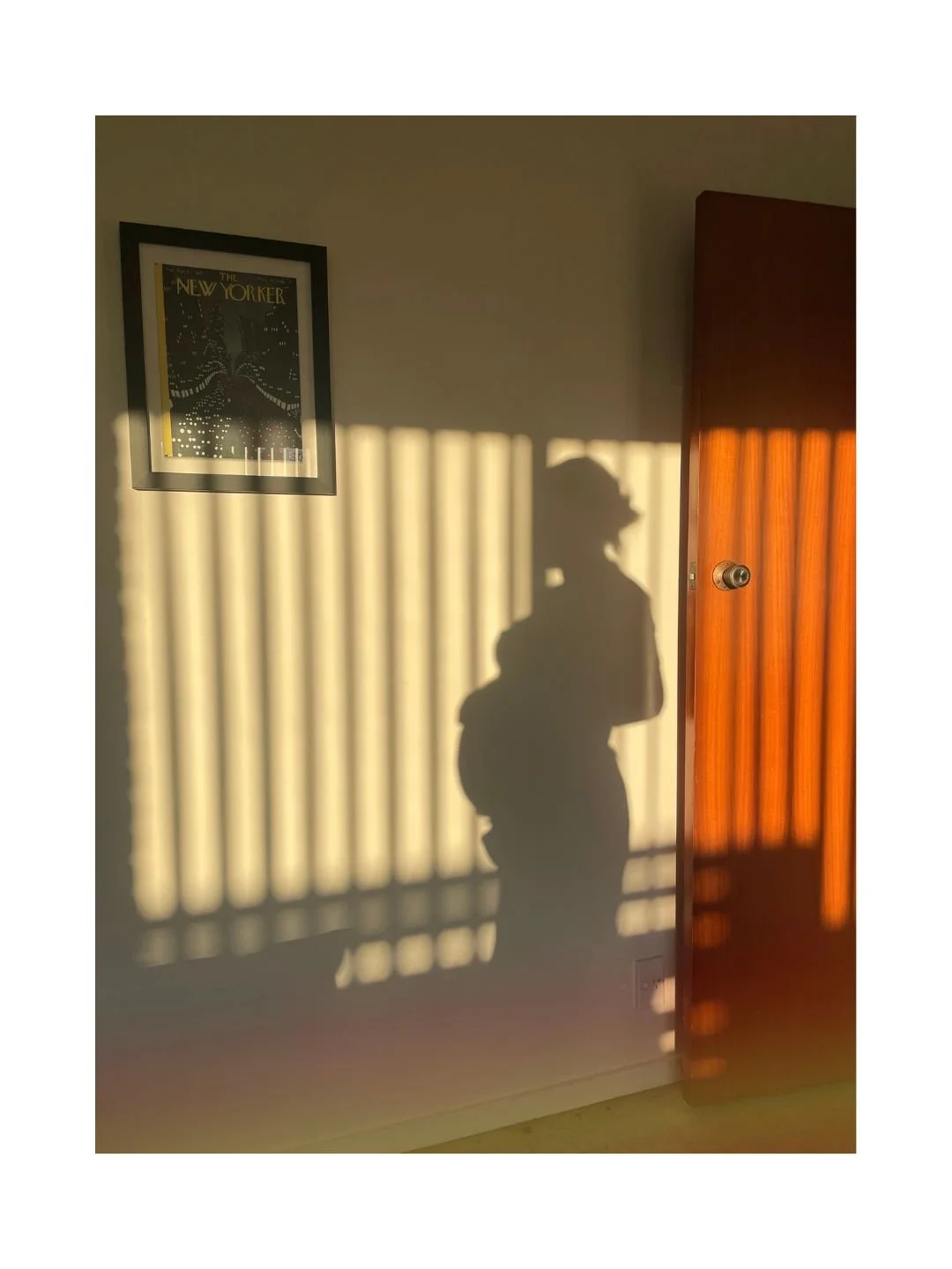 The sunlight creates a shadow of a person holding a phone in front of a wall with a framed picture, next to a partly open wooden door with shadows cast by window blinds.