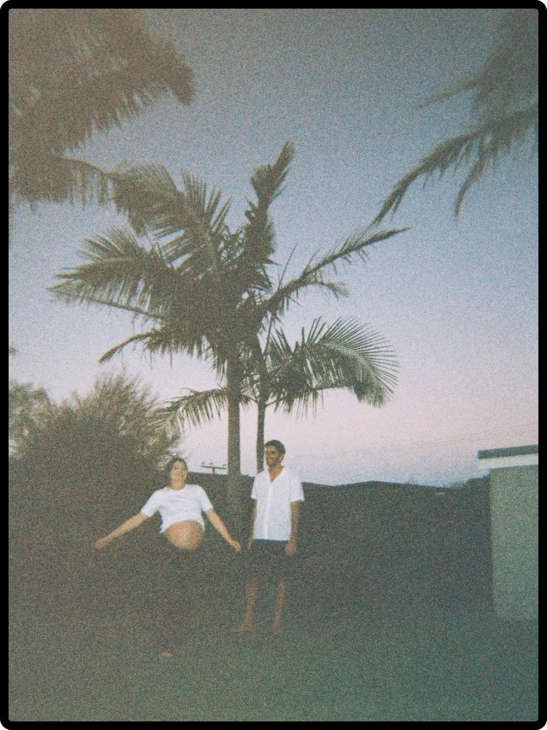 Two people standing outdoors near a tropical palm tree at dusk, with a dark fence and building in the background.
