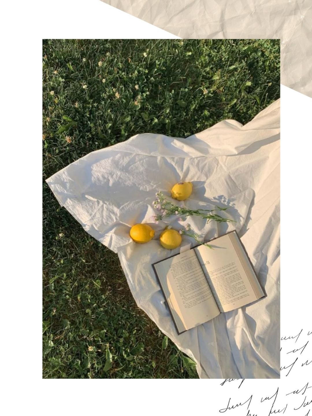 Open book, three lemons, small flowers, and white fabric laid on grass, outdoors