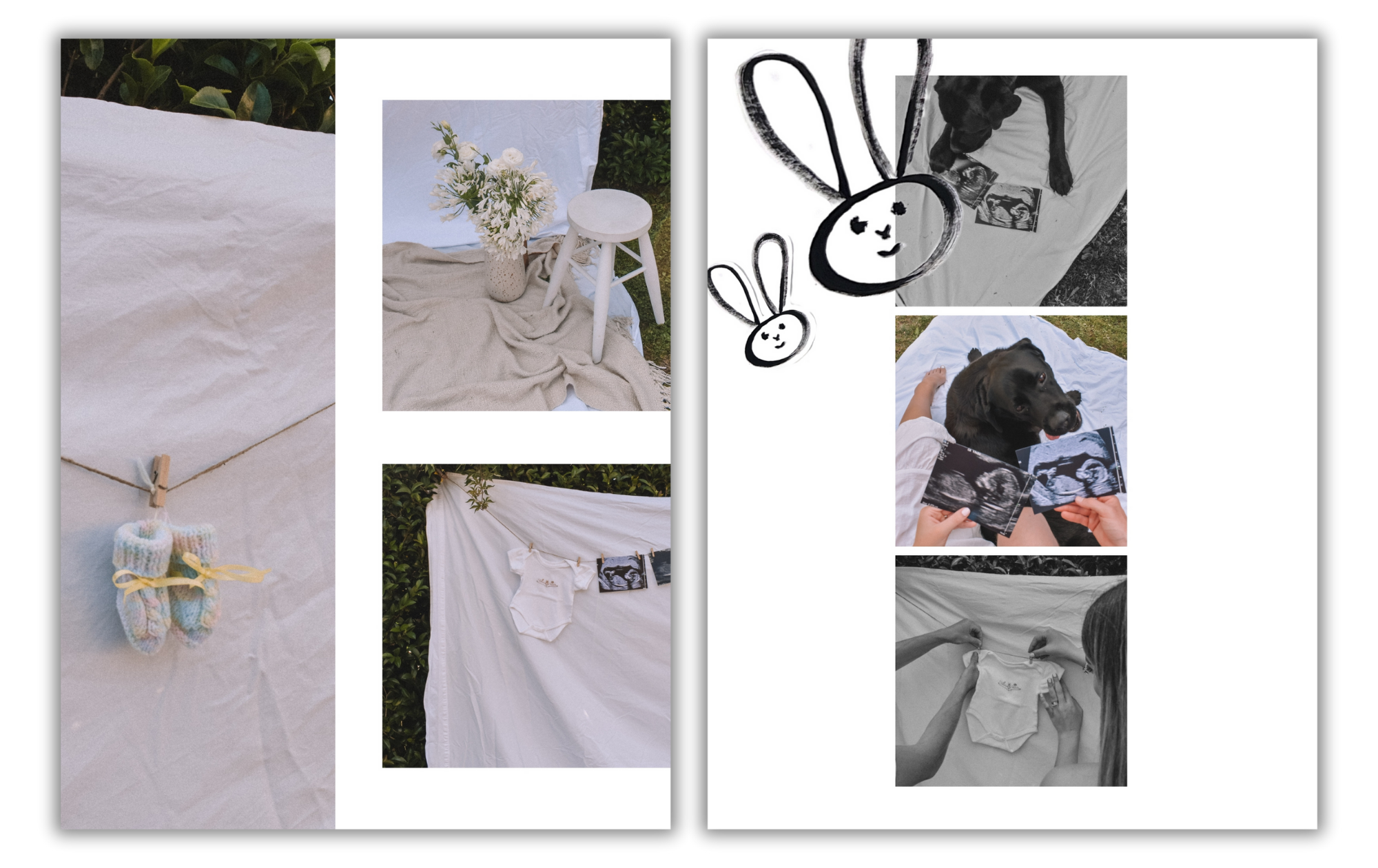 Collage of photos featuring a setup for a baby photo shoot, including a white sheet backdrop, baby clothes, ultrasound photos, a stuffed toy, a dog with ultrasound images, and a woman preparing the baby clothes.