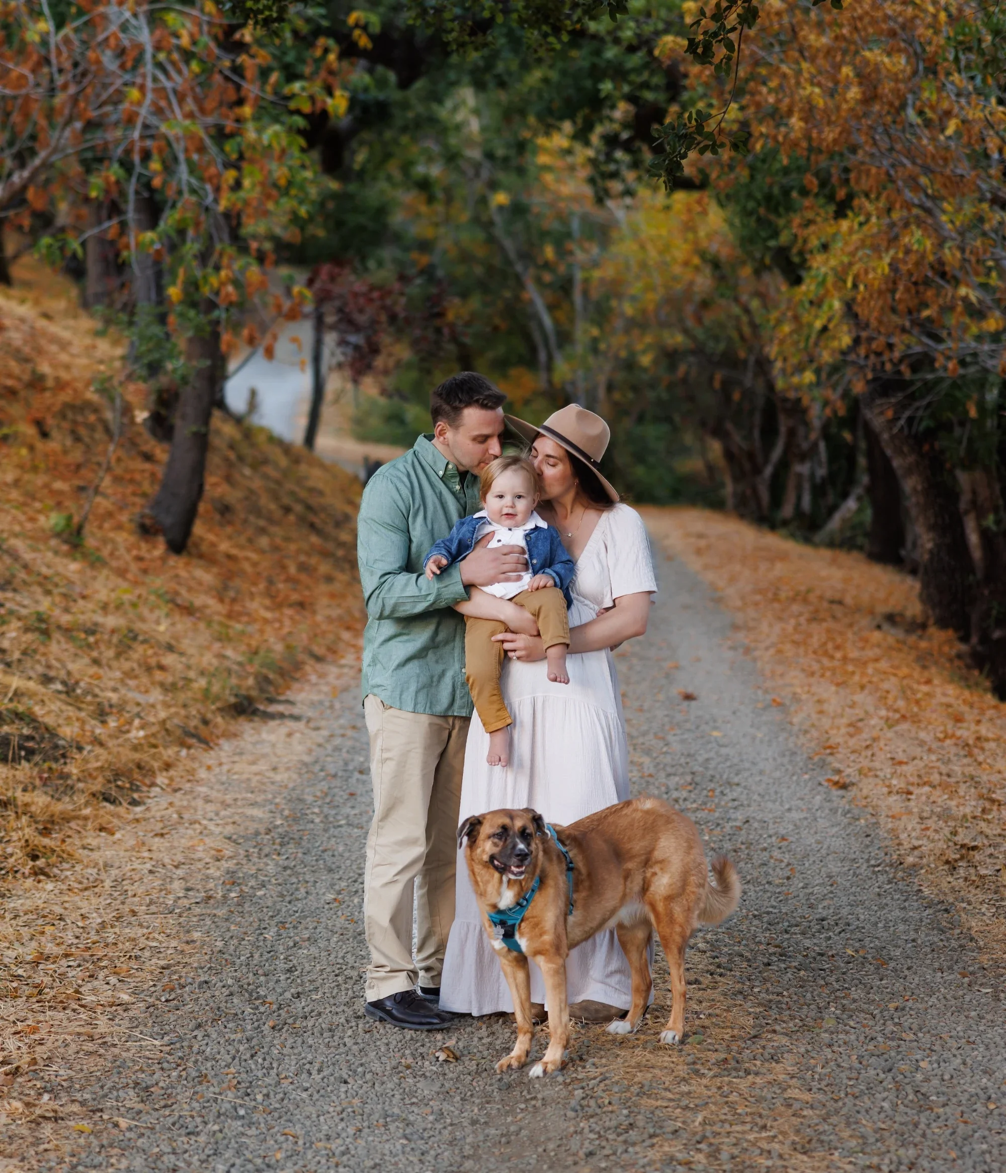 Capture the Magic of Fall with Mini Sessions