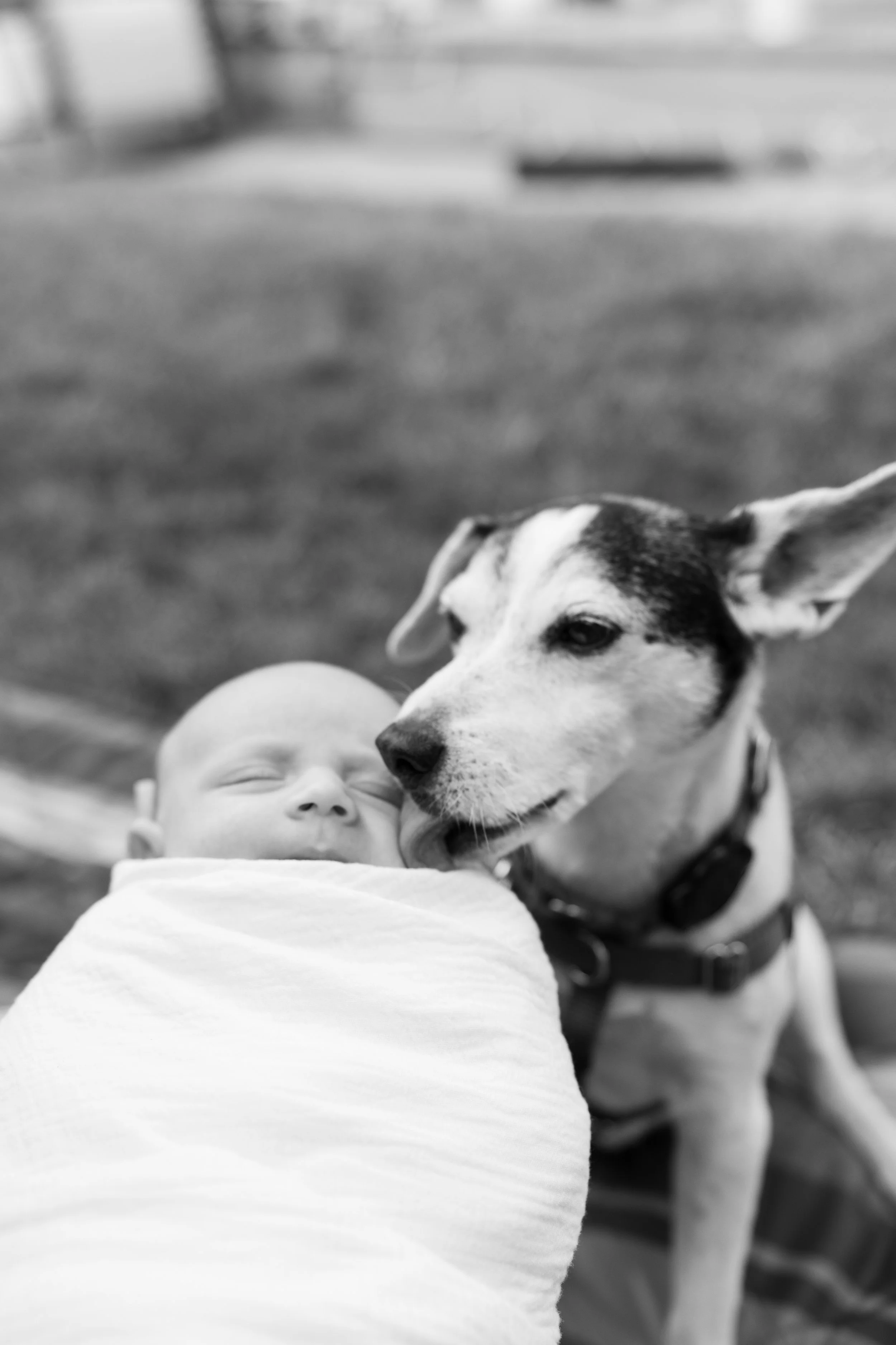 david.newborn.fordphotography-142.jpg