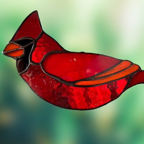 Cardinal_back.jpg