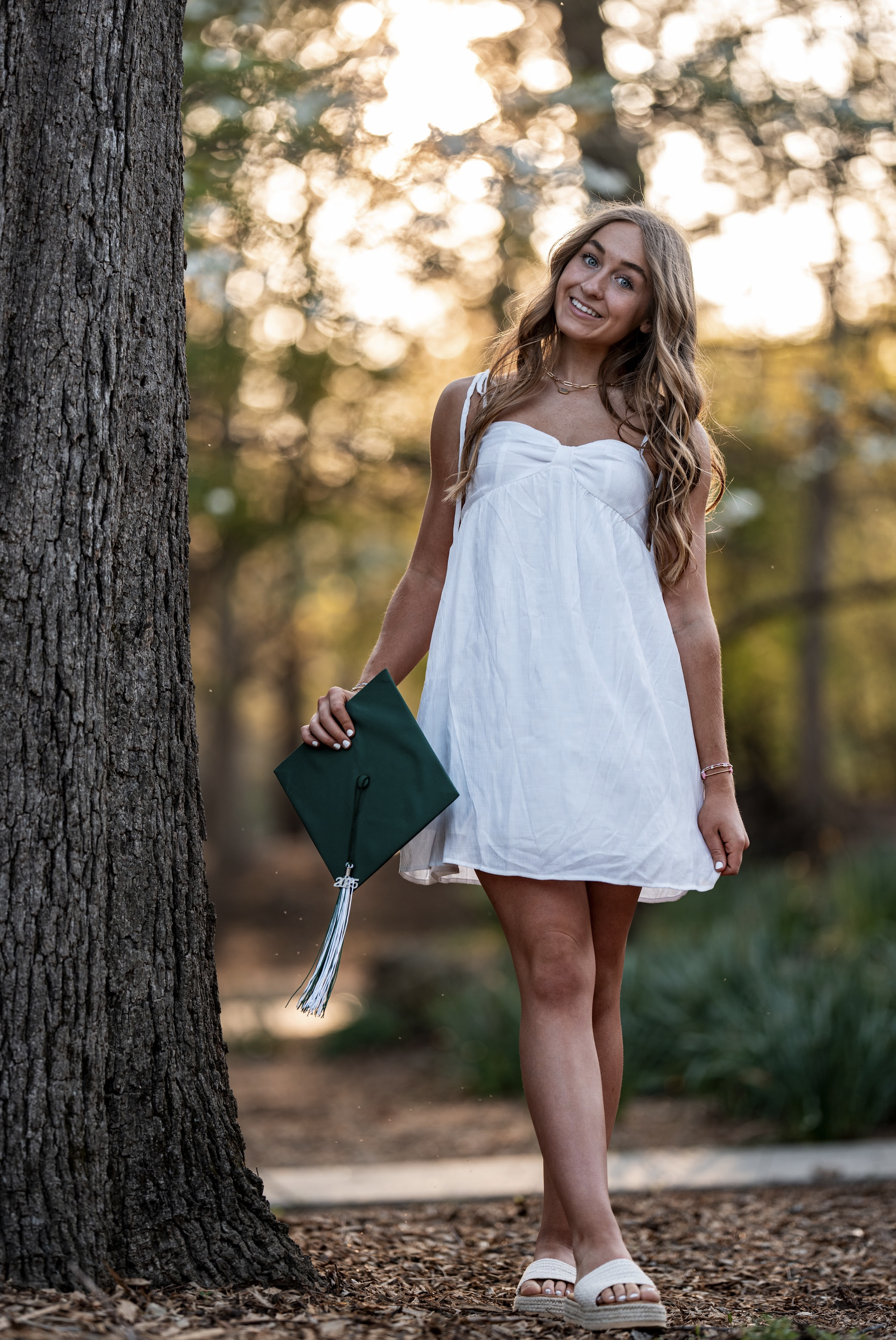 Screenshot 2025-09-25 at 11.37.33 AM.png