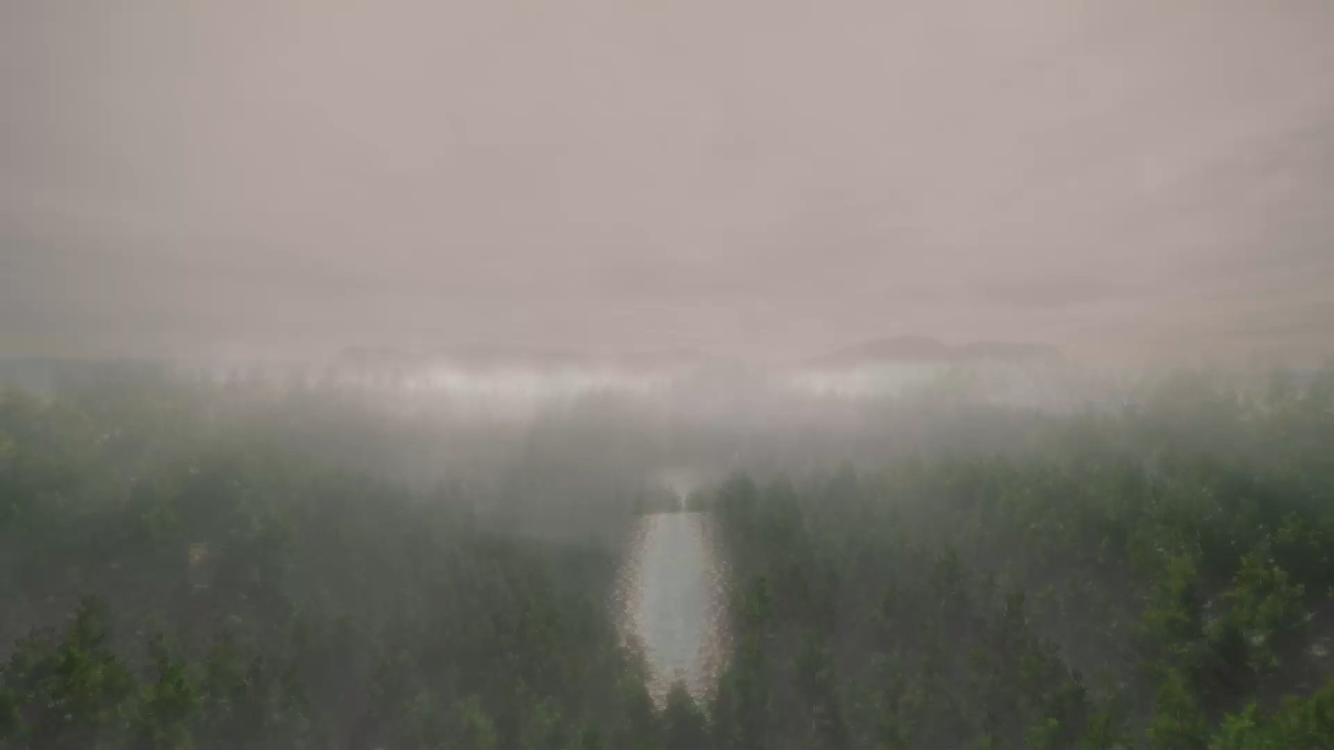 first shot of video.jpg