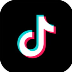 TikTok slop dog food