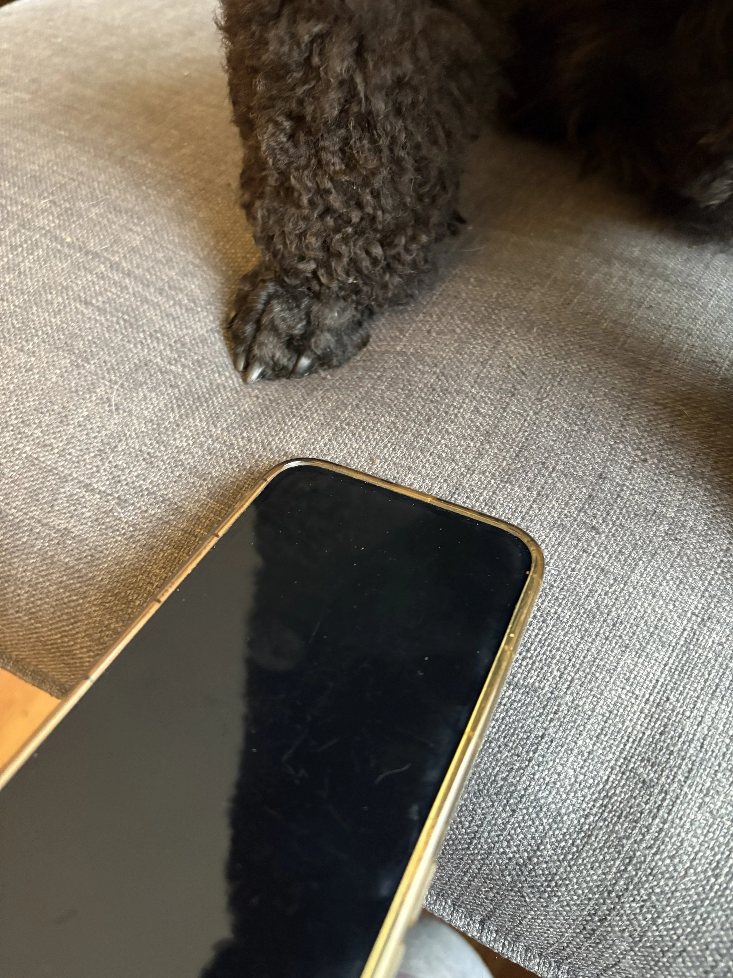 contact us slop dog food