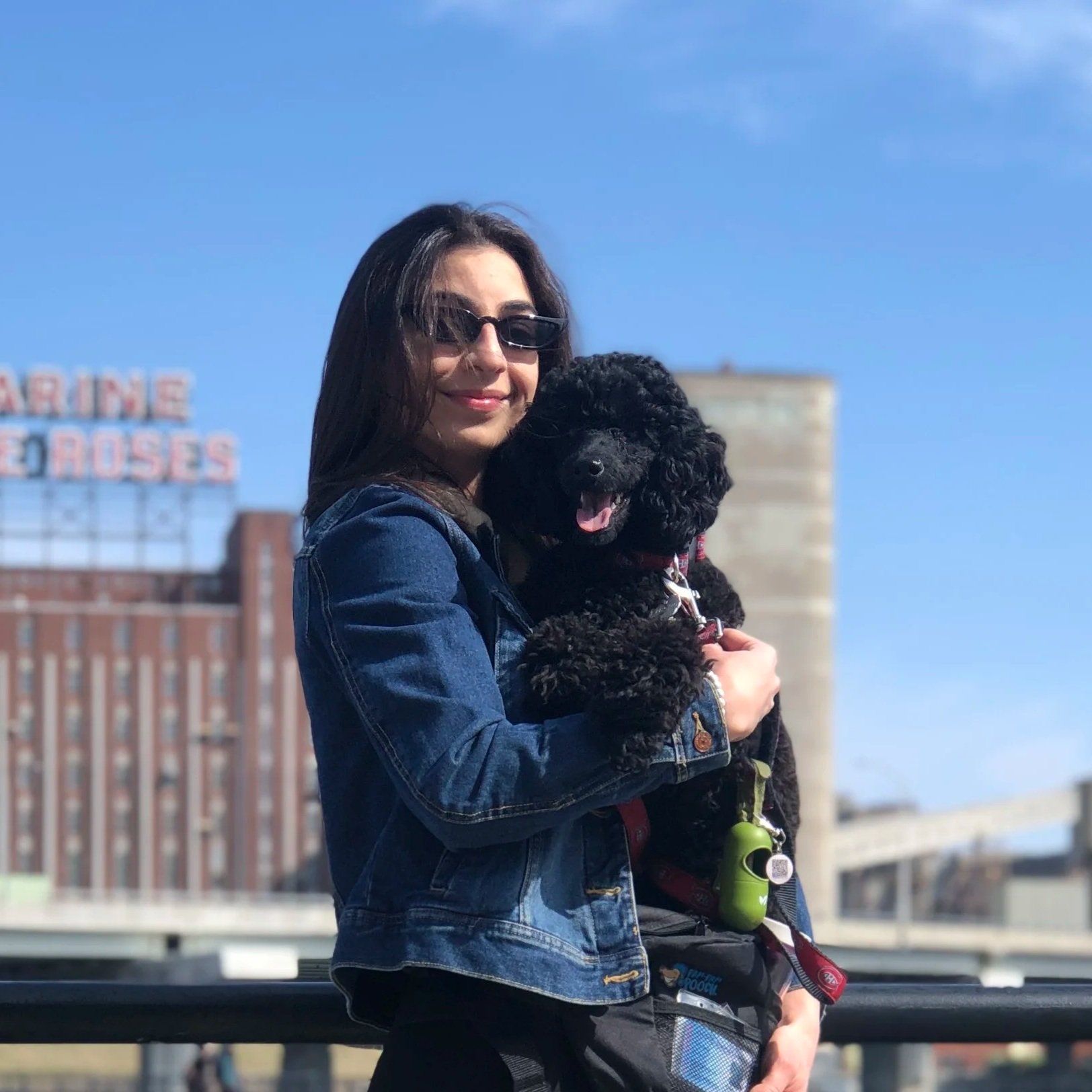 zeina samy slop dog food