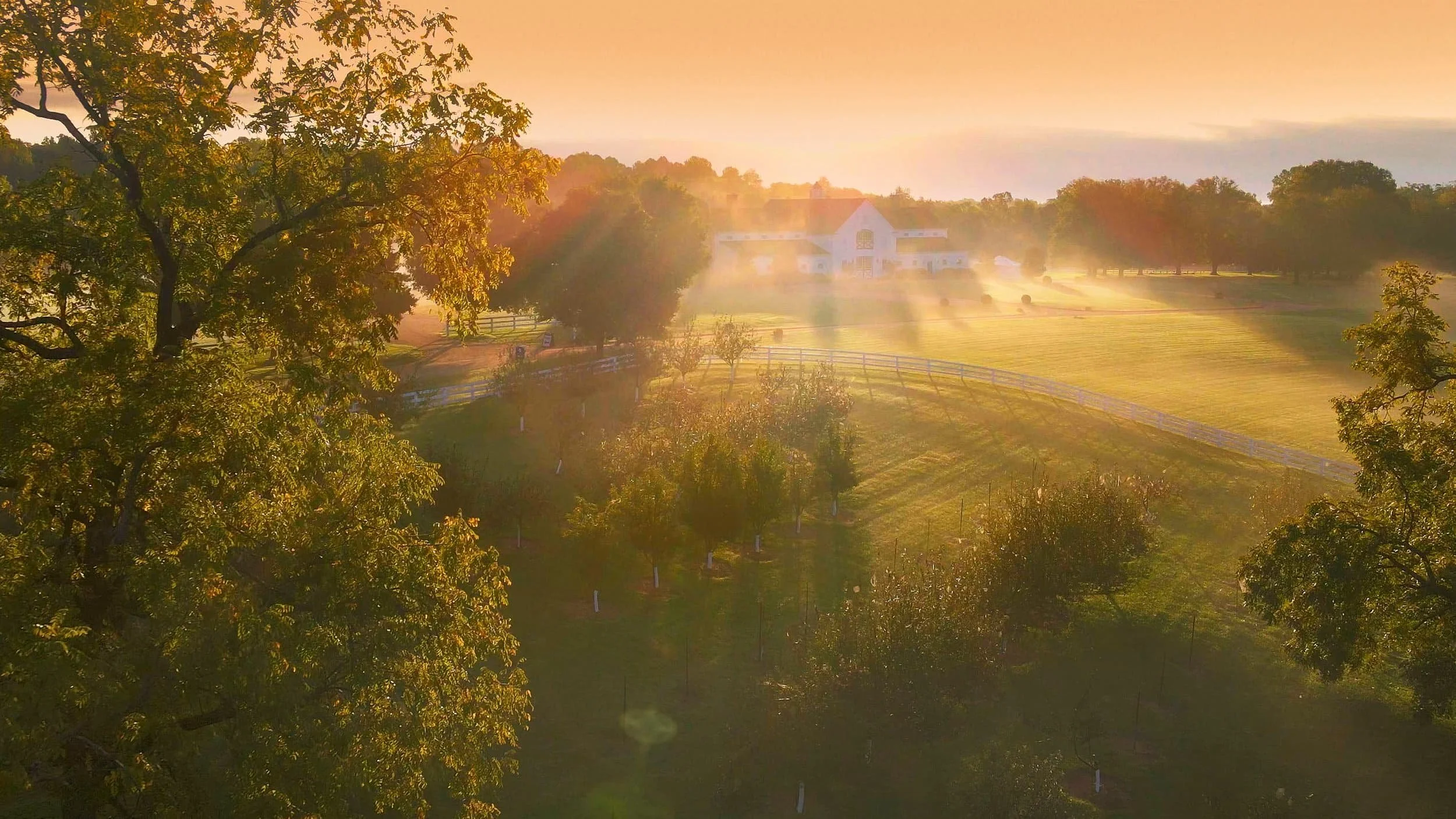 Sunrise over a rural landscape with trees, a white fence, and a white house in the distance, with sunlight streaming through the mist and casting long shadows.