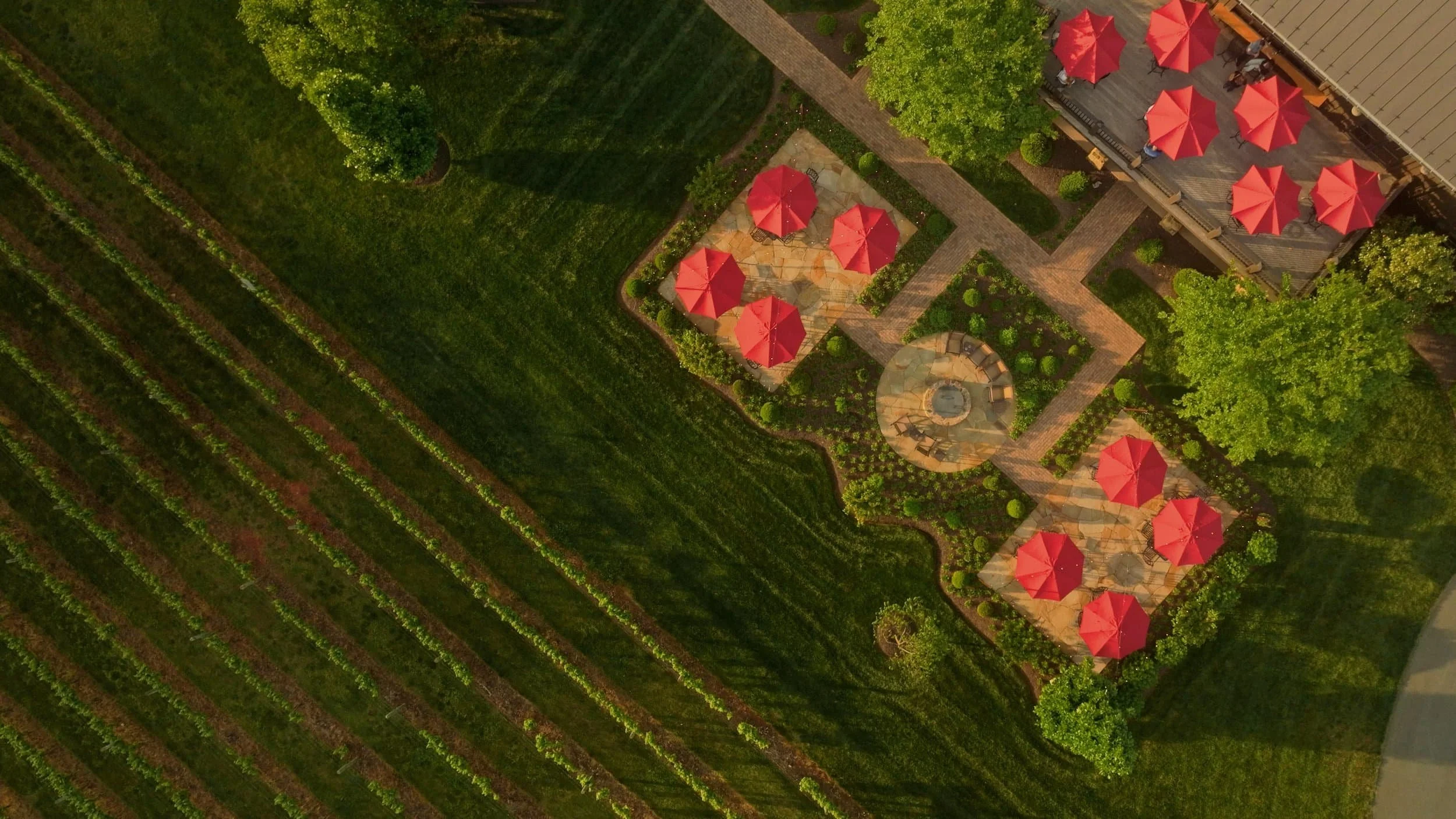 An aerial view of a garden patio with red umbrellas, surrounded by green trees, lawn, and walking paths, next to a vineyard or field.