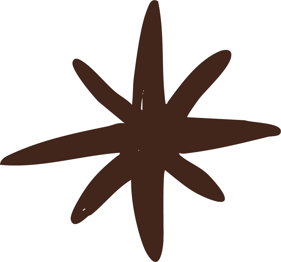 A simple drawing of a star-shaped plant or leaf with dark brown color.