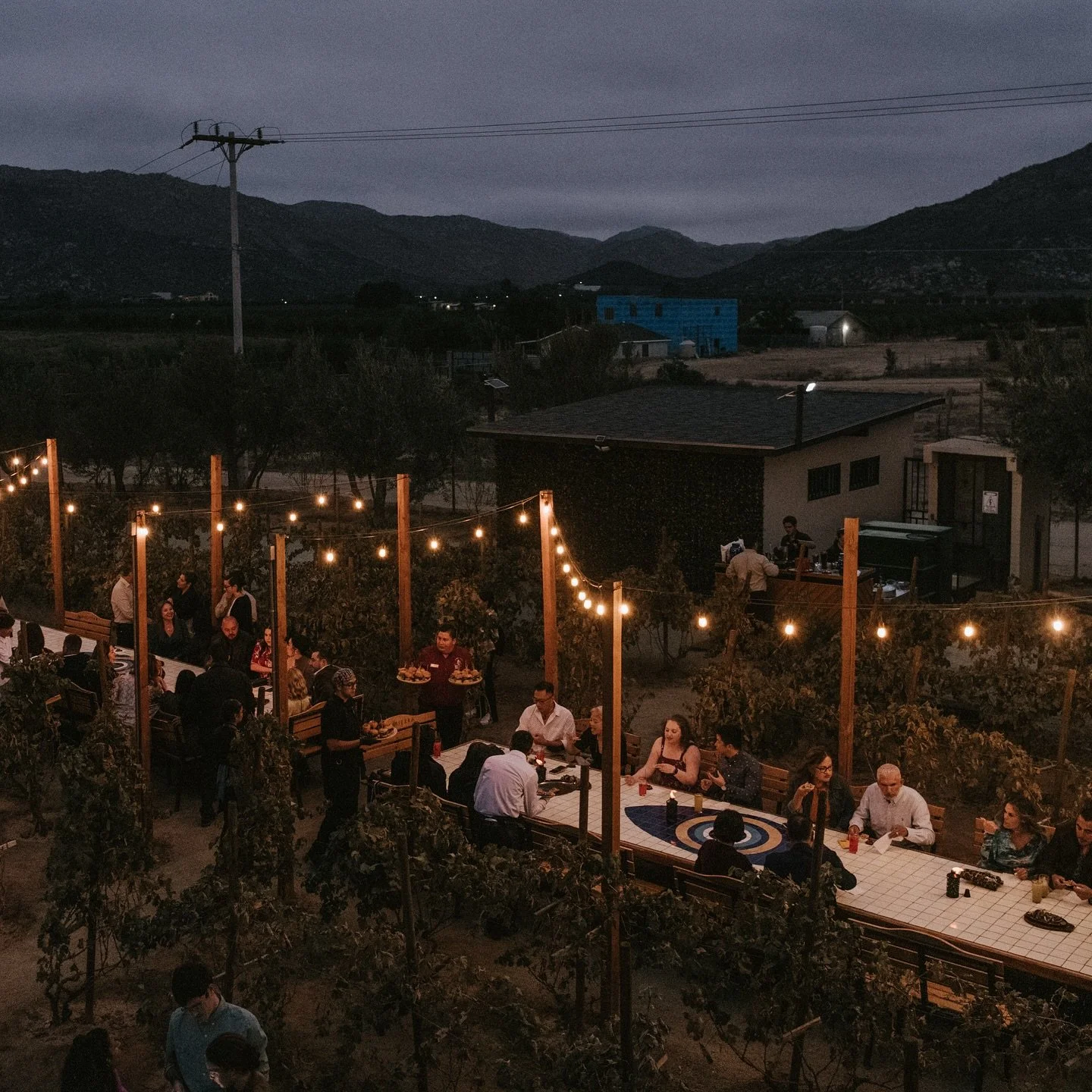 Scenes from the valley. 
Falling in love with the simple things again. 
Good people.
Honest connection.
Natural beauty. 

photo: @diasdevinoyrosas