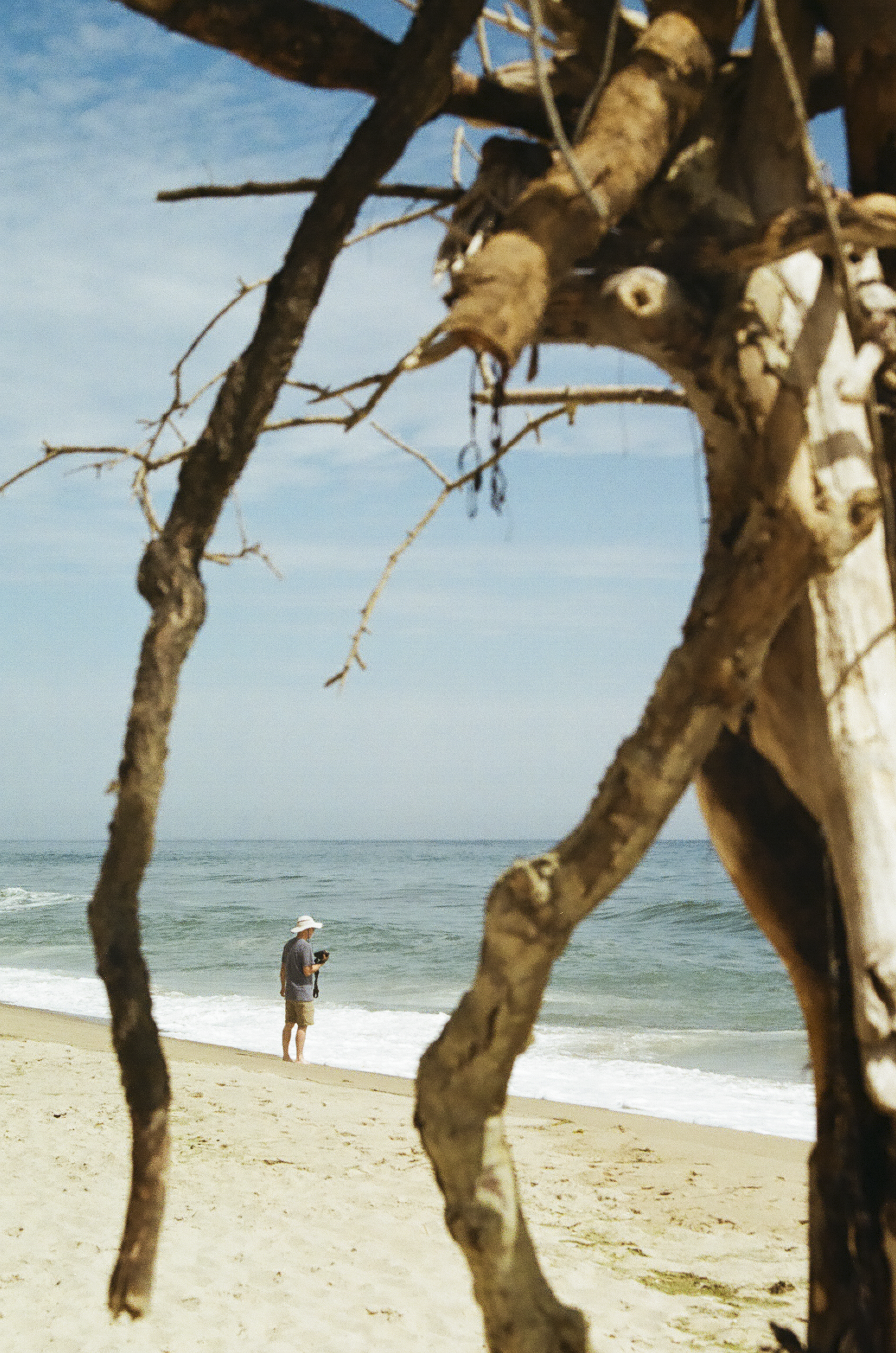 A person standing on the beach near the ocean, looking at a device, framed by dried, twisted tree branches in the foreground.