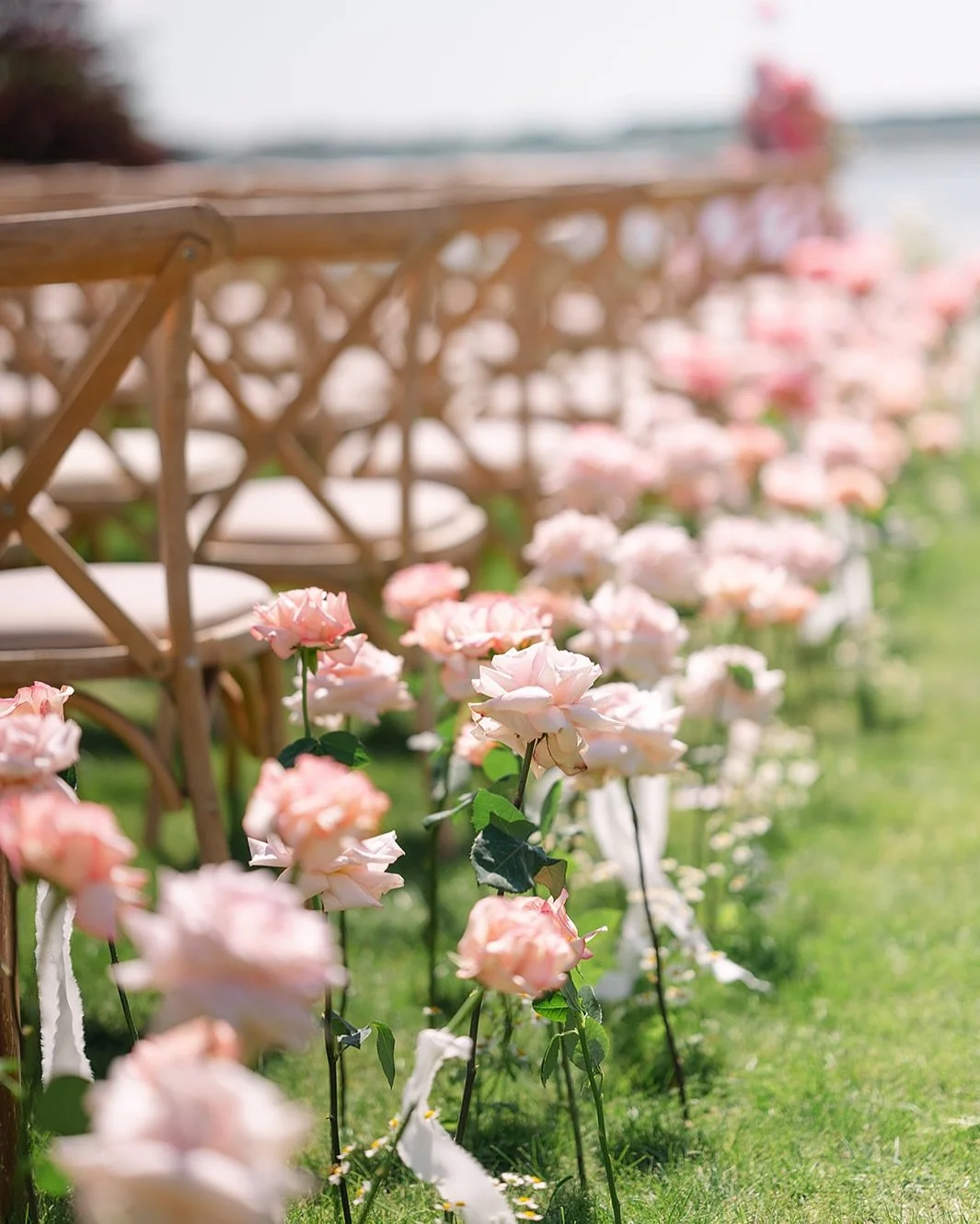 An aisle of roses&hellip; YES PLEASE 🫶🏻
.
.
.

Planner/caterer: @doggartandsquash
Photographer: @alexwysockiphotography 
Film photography: @adamcrocker_photography
2nd photographer: @charlottegriffithsphotographer
Florals: @rootedinrosemary
Dress: 