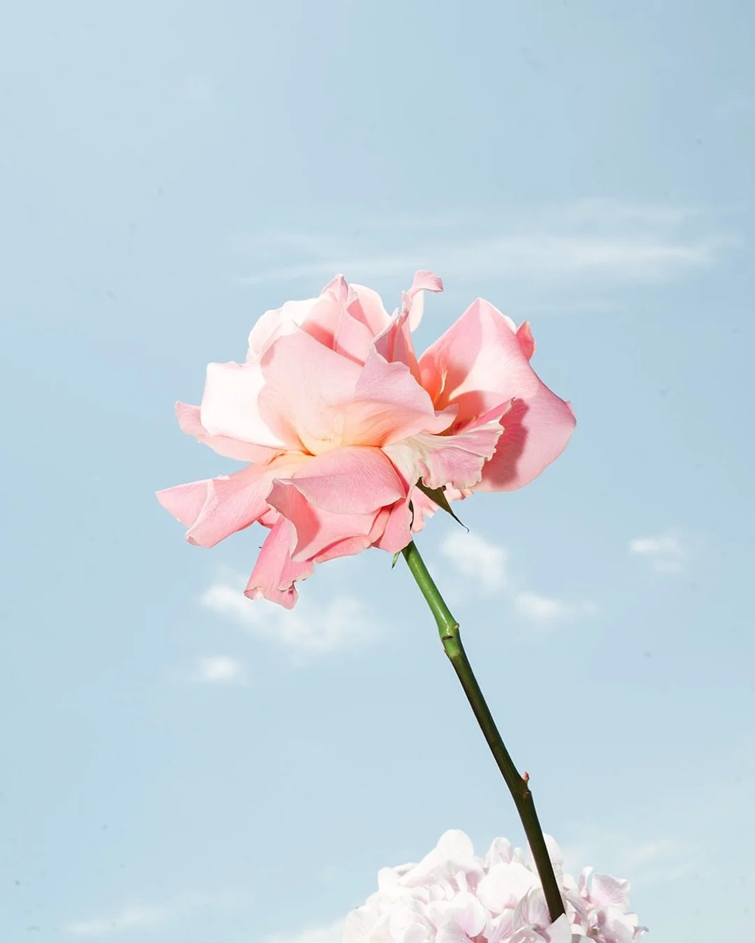 It&rsquo;s here ✨ Our new website is officially LIVE - and pre-orders for our handmade festive wreaths &amp; DIY wreath kits are now open!
Each wreath is thoughtfully designed, abundantly handcrafted &amp; festively finished with ribbon and available