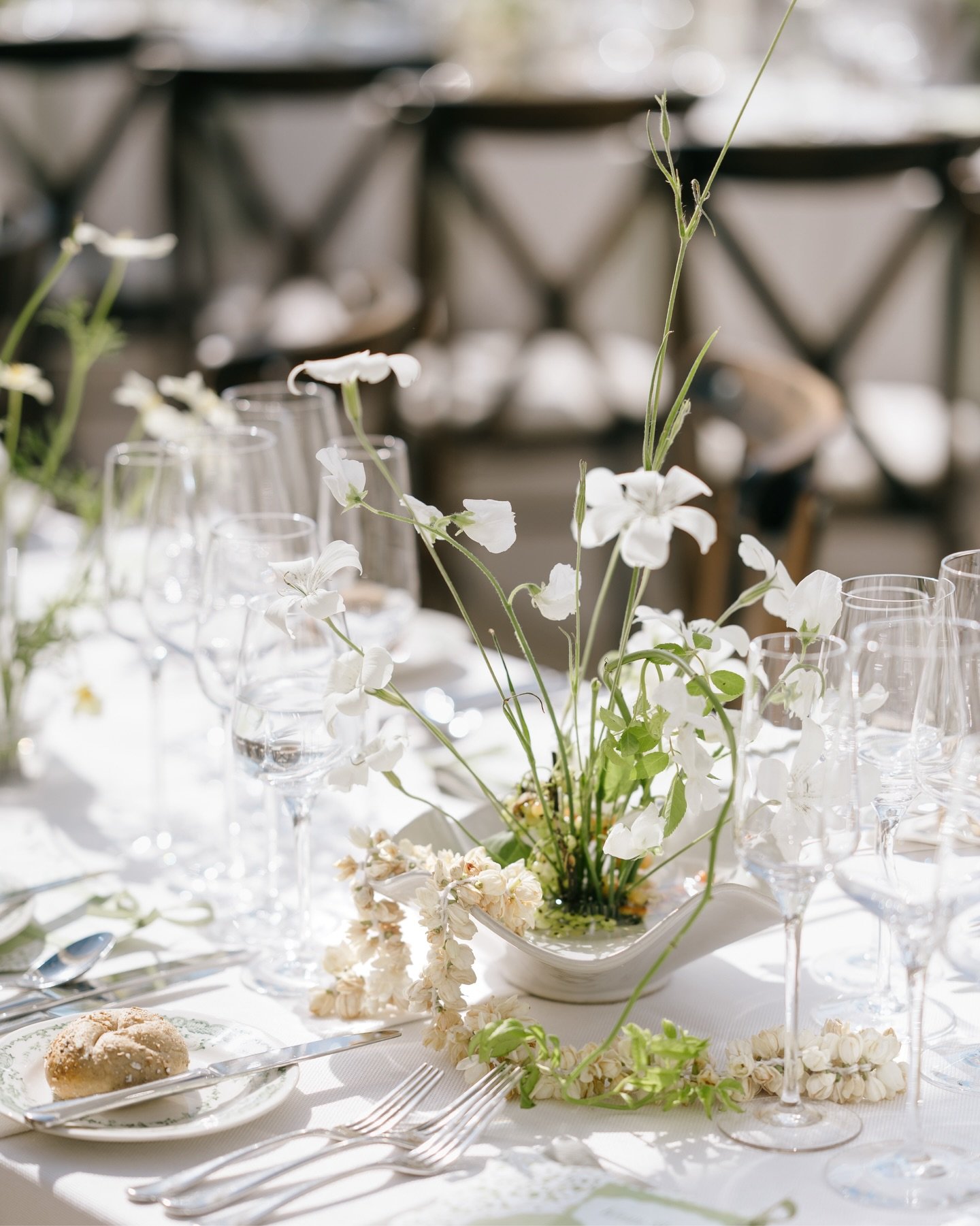 Summer blooms on a blooming hot summers day 🔥 

Isabelle &amp; Tom, Summer 2025