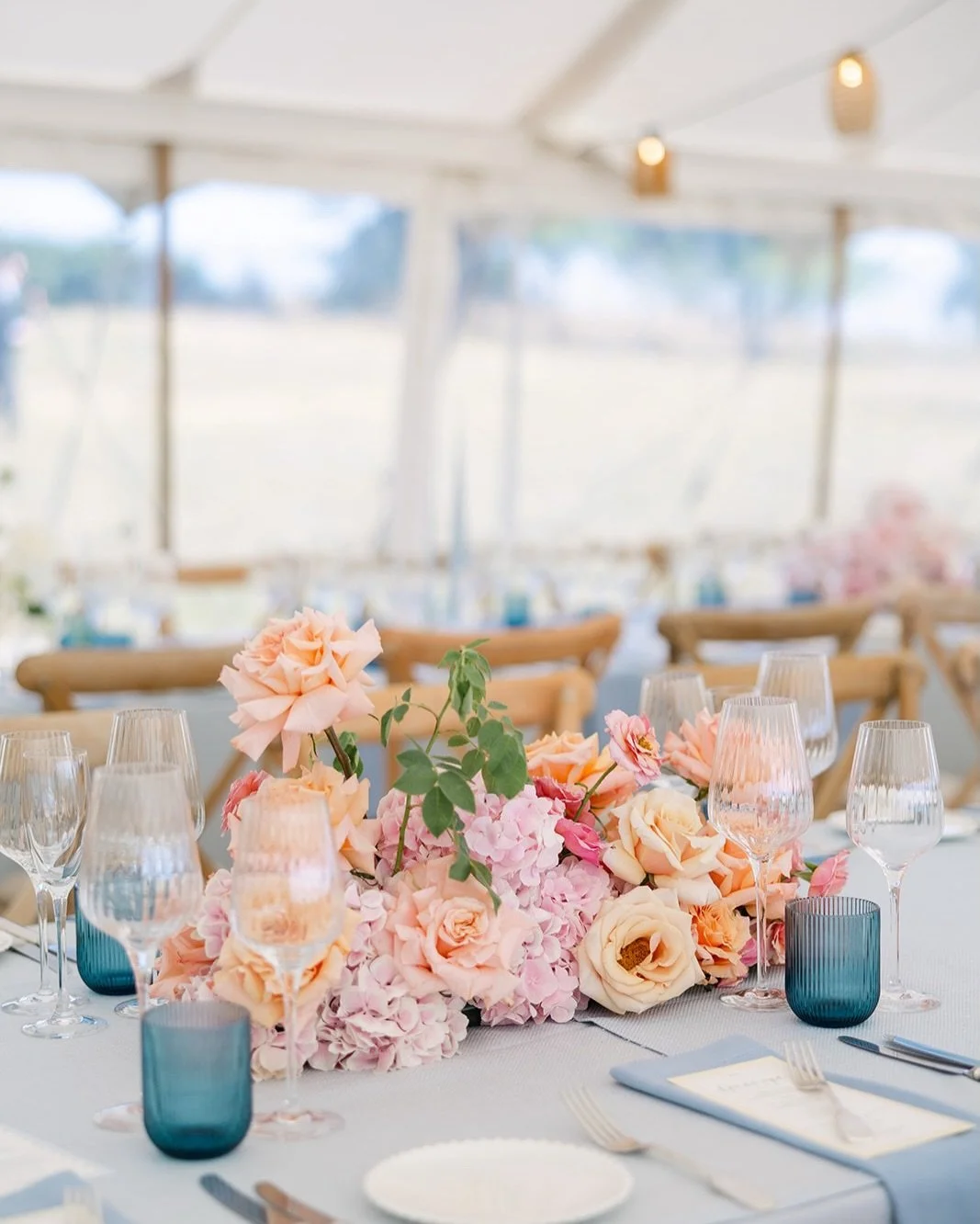 🌸🩰🦩🍑👛🦋🌊🍉🧈🍦🧊☀️🎀🐟💧☁️

Photography @alexwysockiphotography @charlottegriffithsphotographer 
Catering @doggartandsquash
