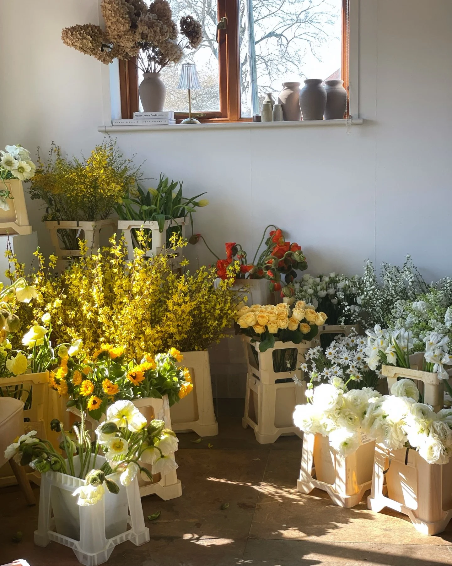 Sunkissed by Springtime ☀️ 

This weekends blooms soaking having a well deserved drink &amp; taking in the golden hour glow.

Soooo excited for our first wedding of the year and what a palette to kick us off! H+N we&rsquo;re coming for ya 🤍

xx