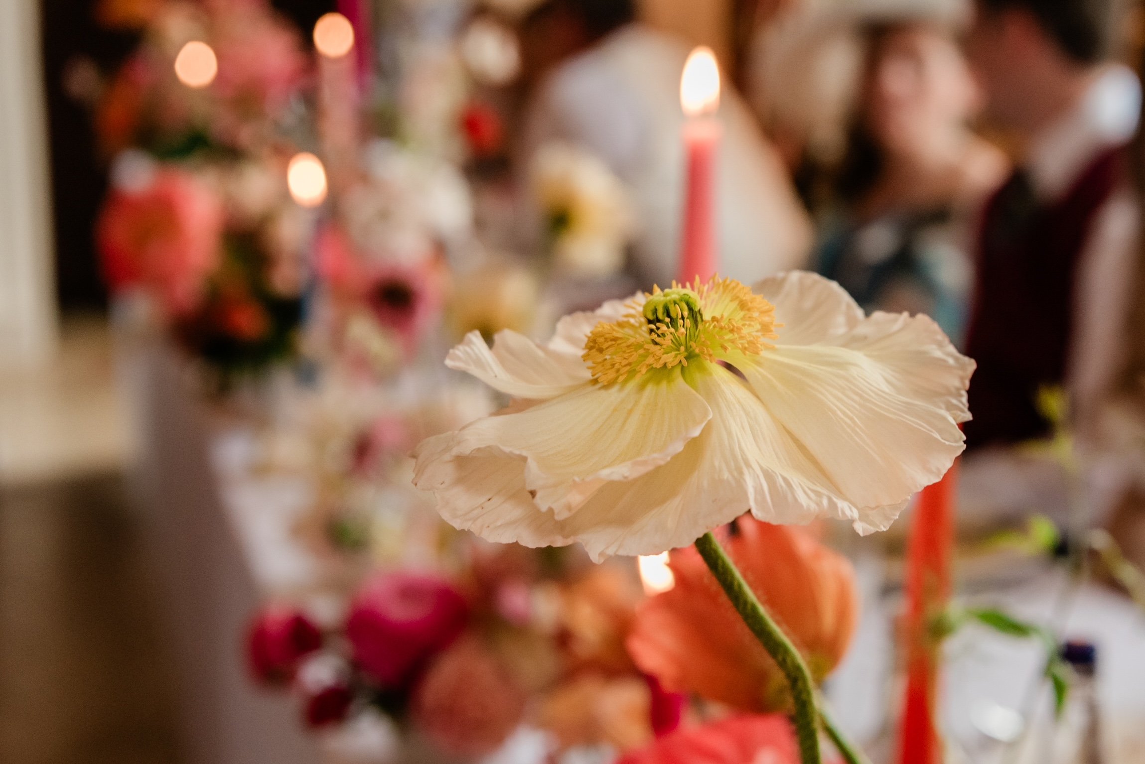 Mr  Mrs Brooke 654 of 1059 (1).JPG