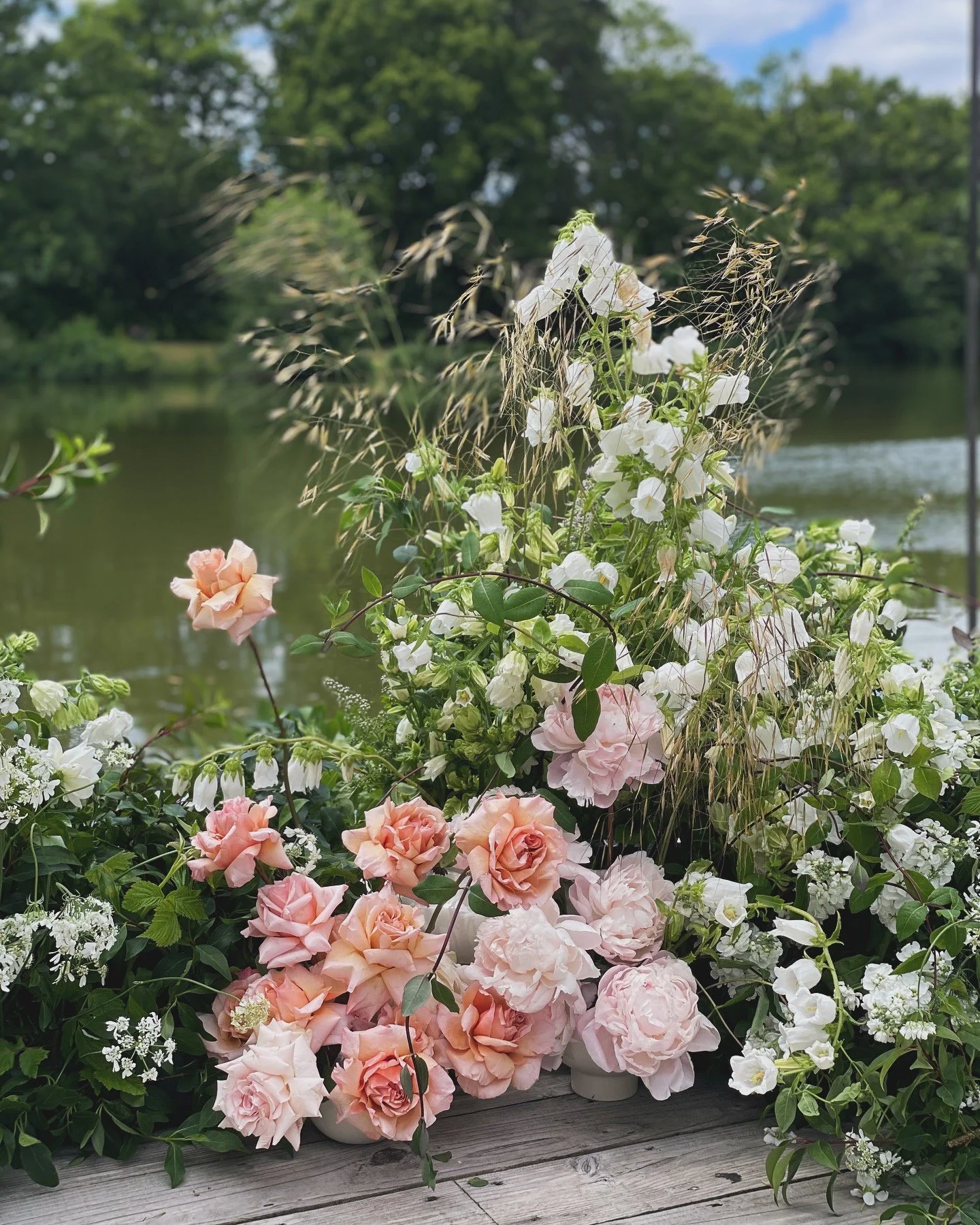 341792F1-2015-422D-9F94-5A610E6814C4 3.JPG