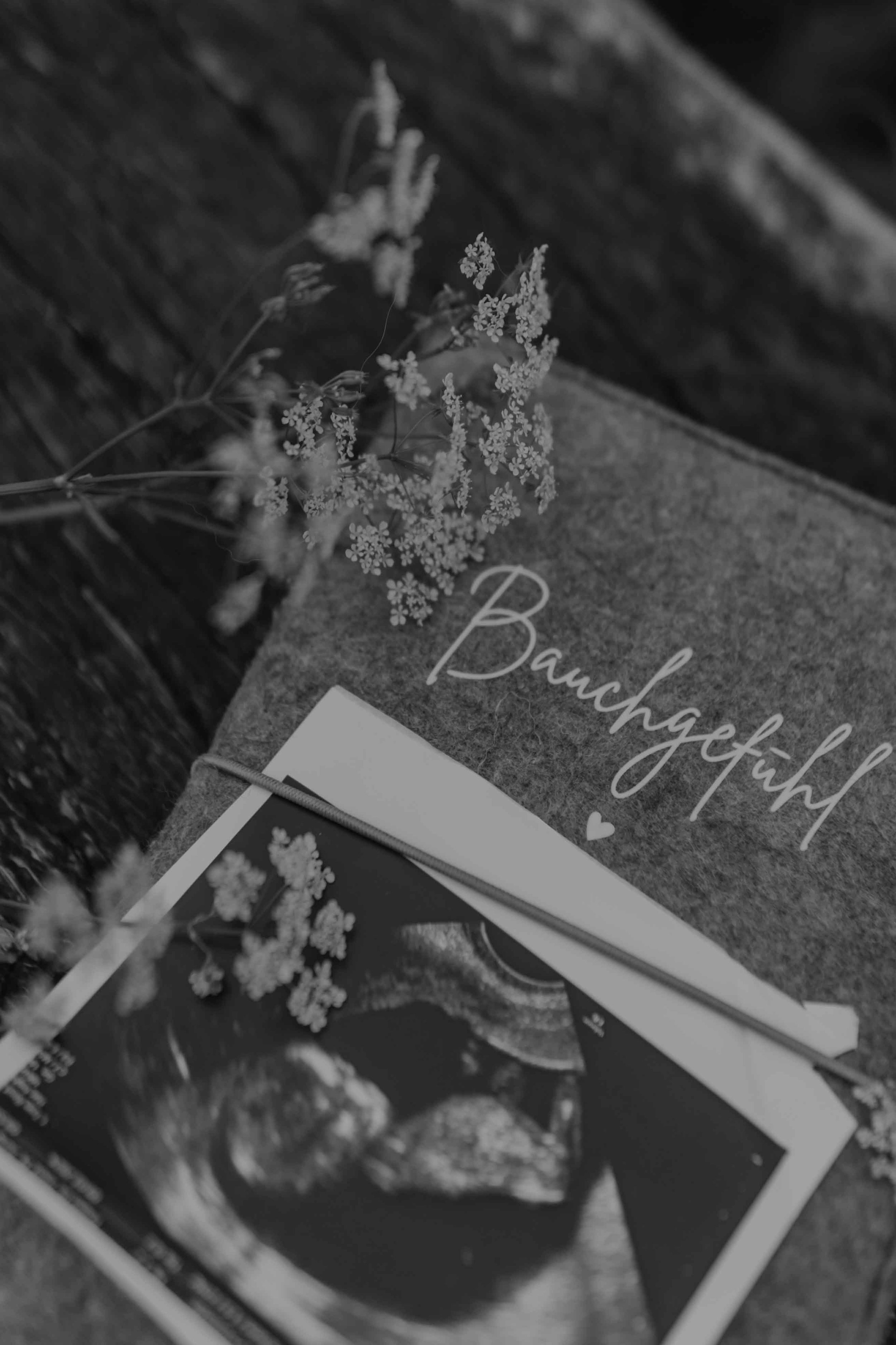 Schwangerschaftsfotografie Kassel – Mutterpass und Ultraschall.