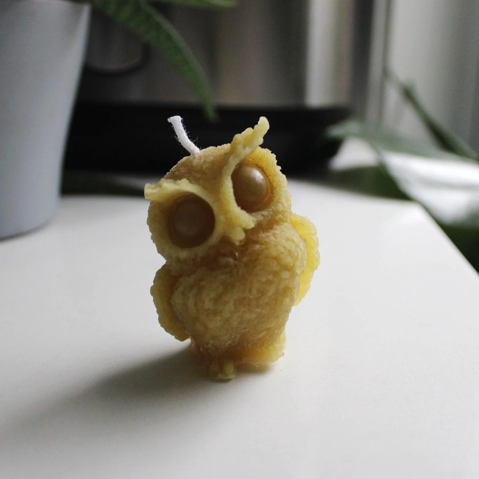 Nigh Owl | Forest Guide Collection