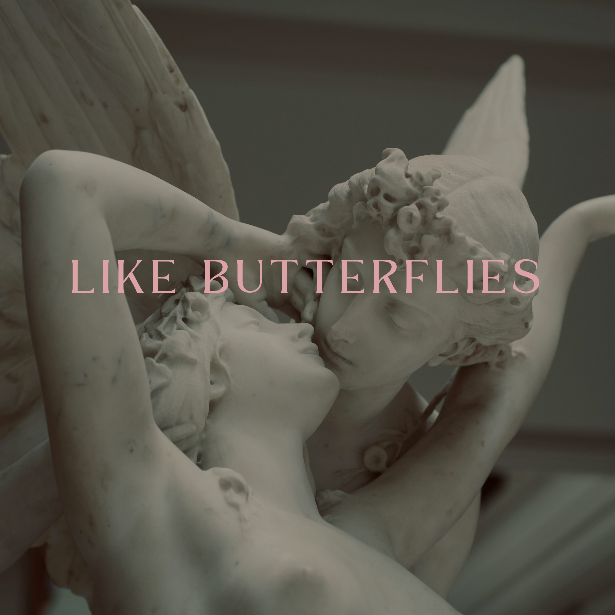 LIKE BUTTERFLIES - A scent of fresh wild roses in dewy morning air. Floral & fleeting, soft movement in bloom. (fragrance oil blend)