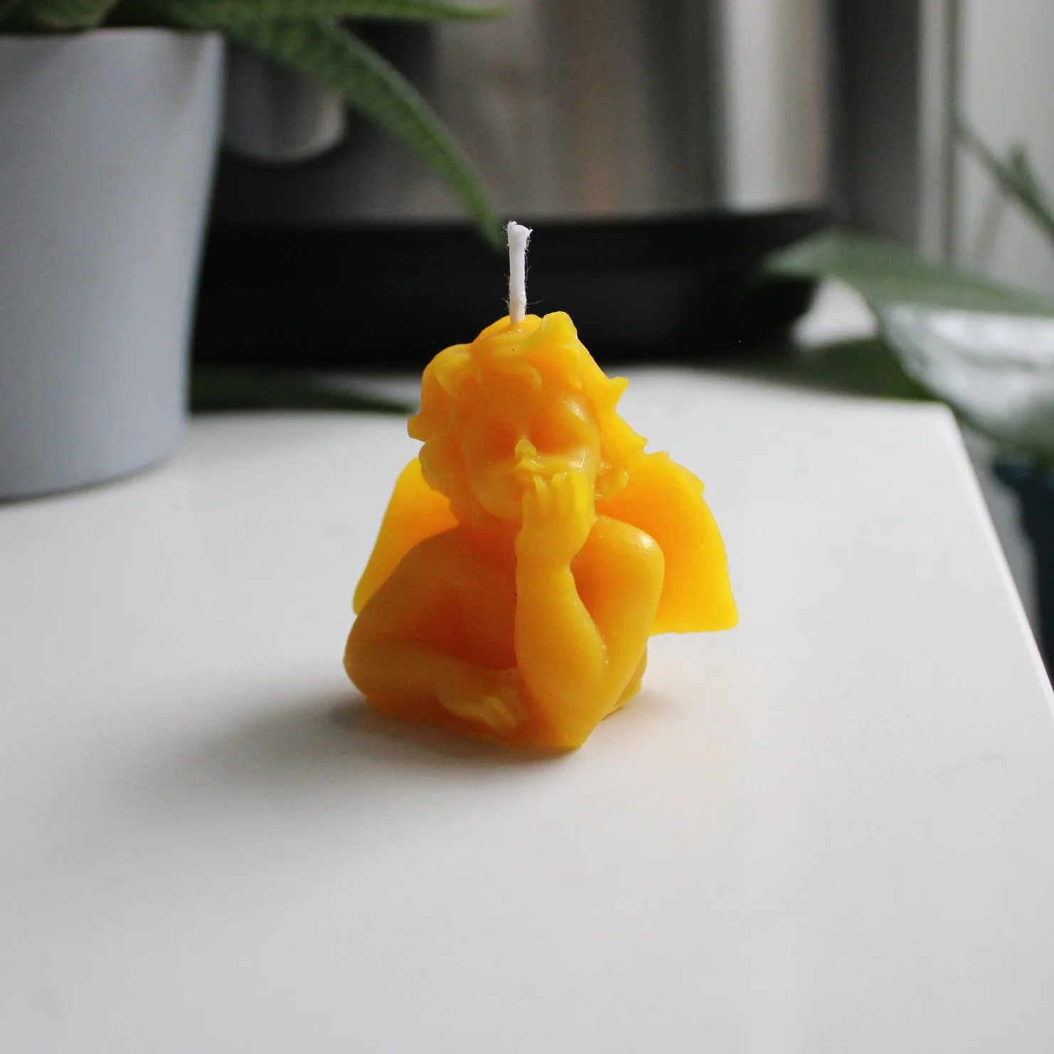 Golden Cherub | Forest Guide Collection