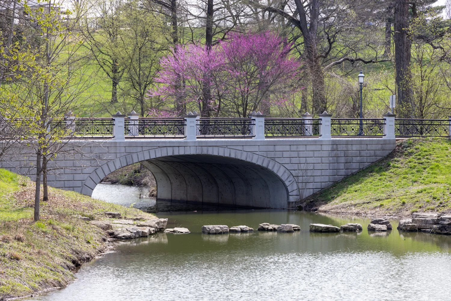 Forest Park Book Signing