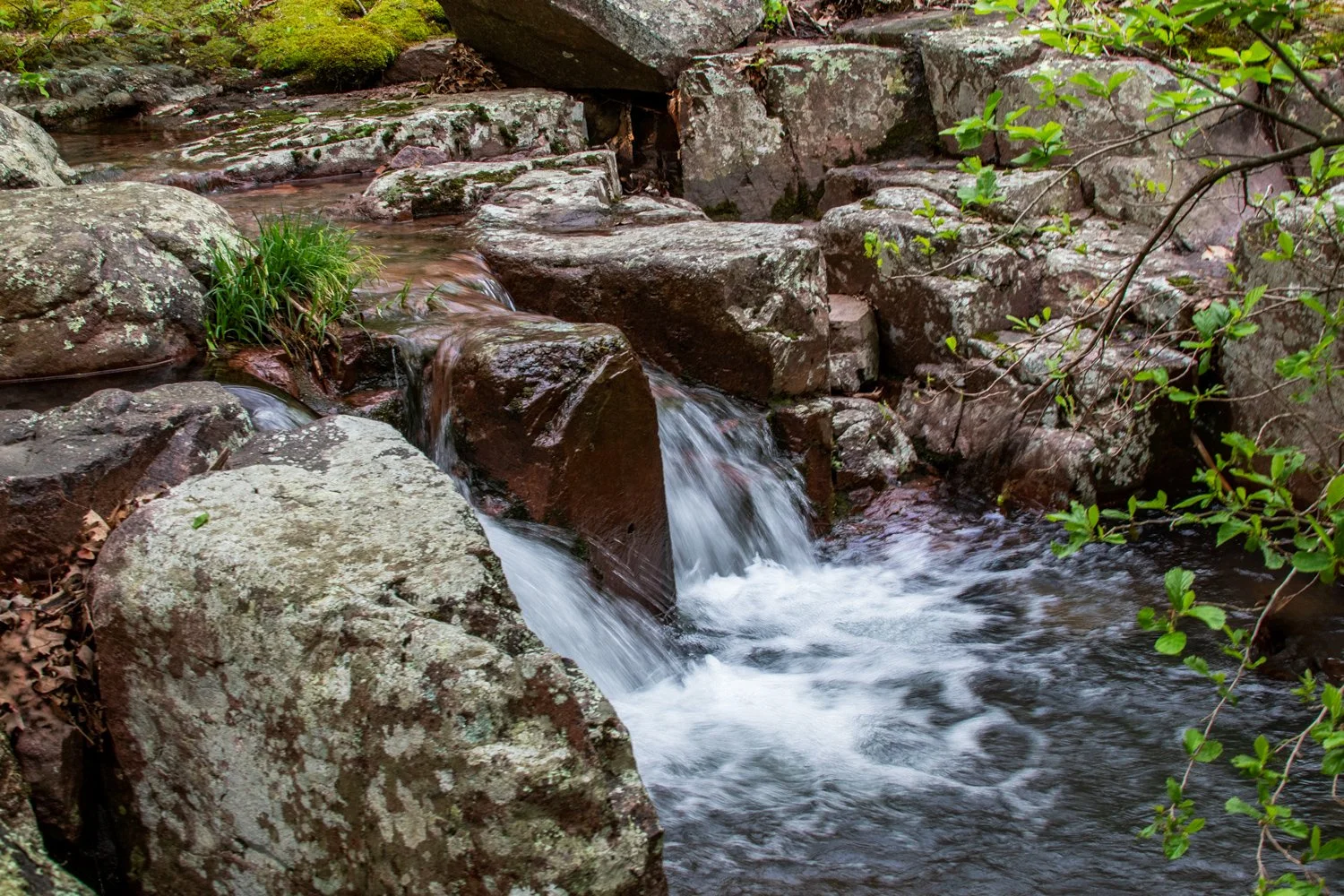 Room for Art, Book Signing