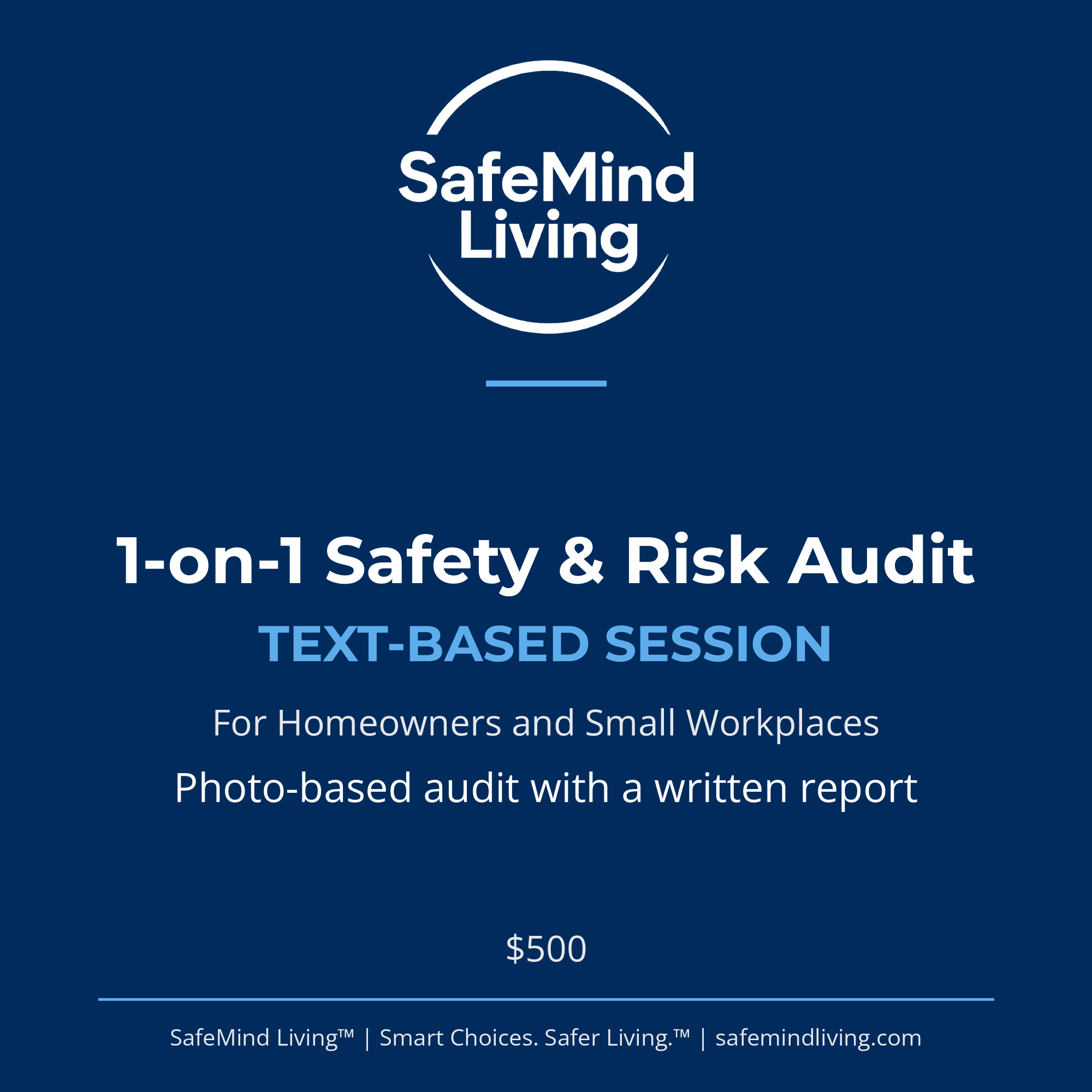1-on-1 Safety & Risk Audit