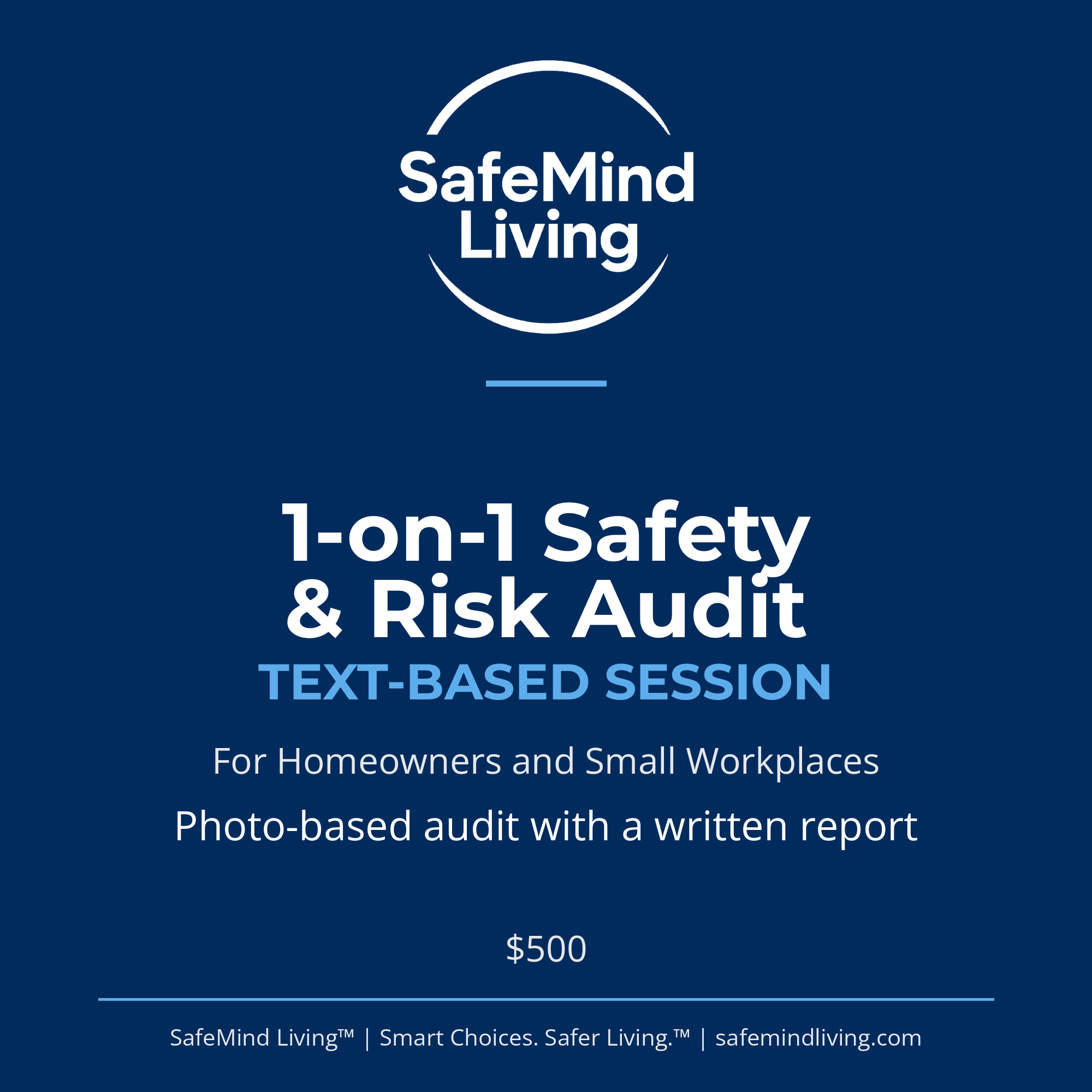1-on-1 Safety & Risk Audit