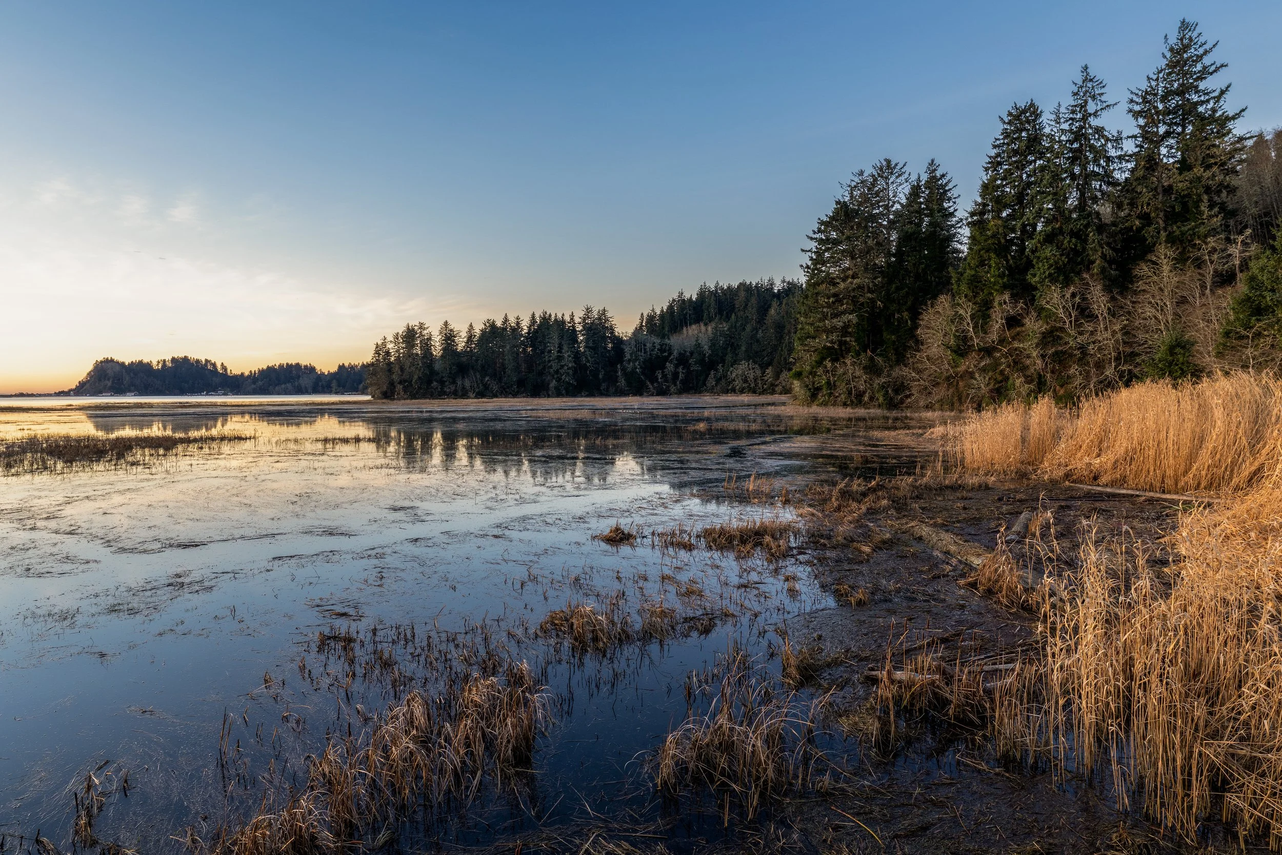JimmyWhitePhoto-8.jpg