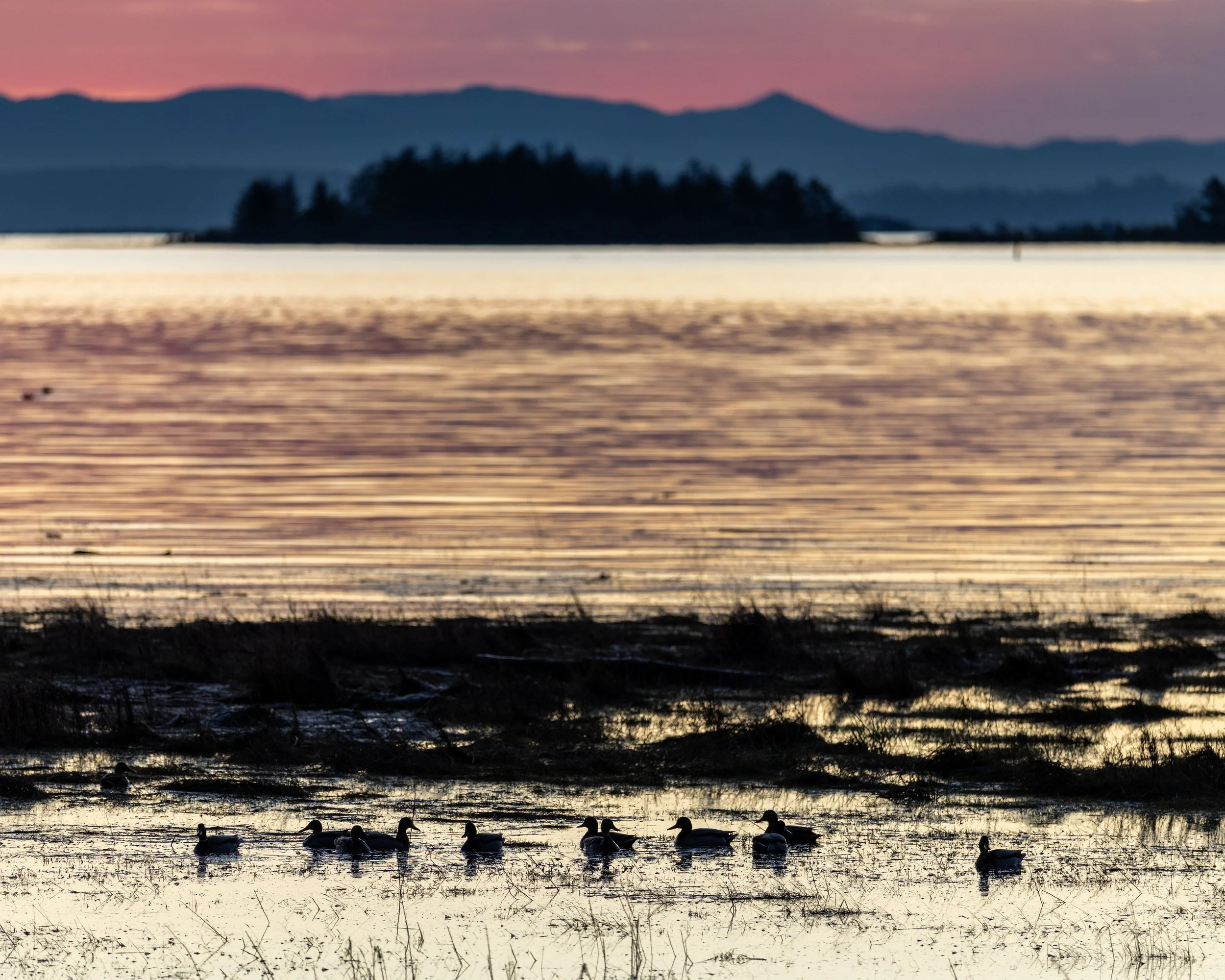 JimmyWhitePhoto-2.jpg